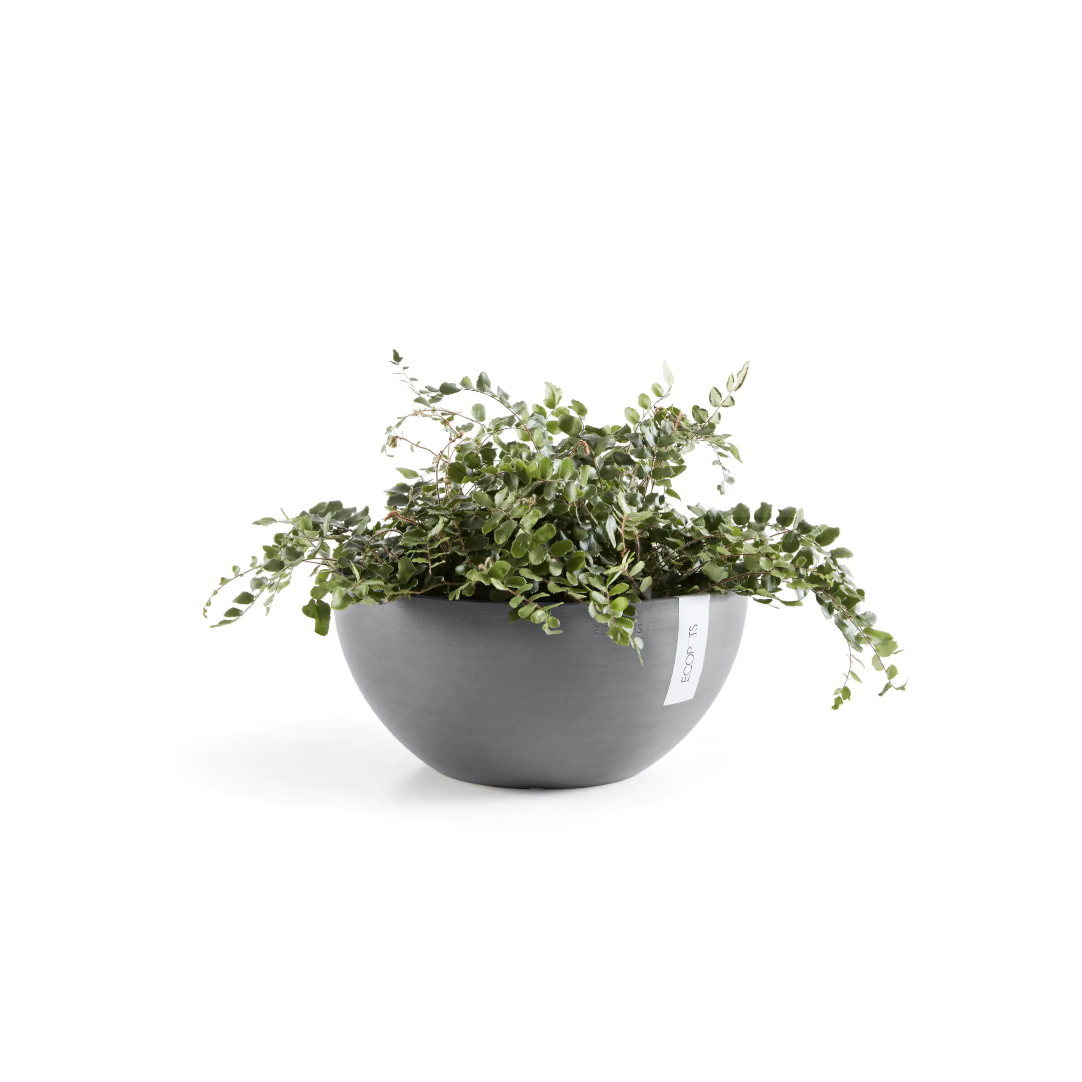 Ecopots Blumentopf Brussels Ø 30 cm grau