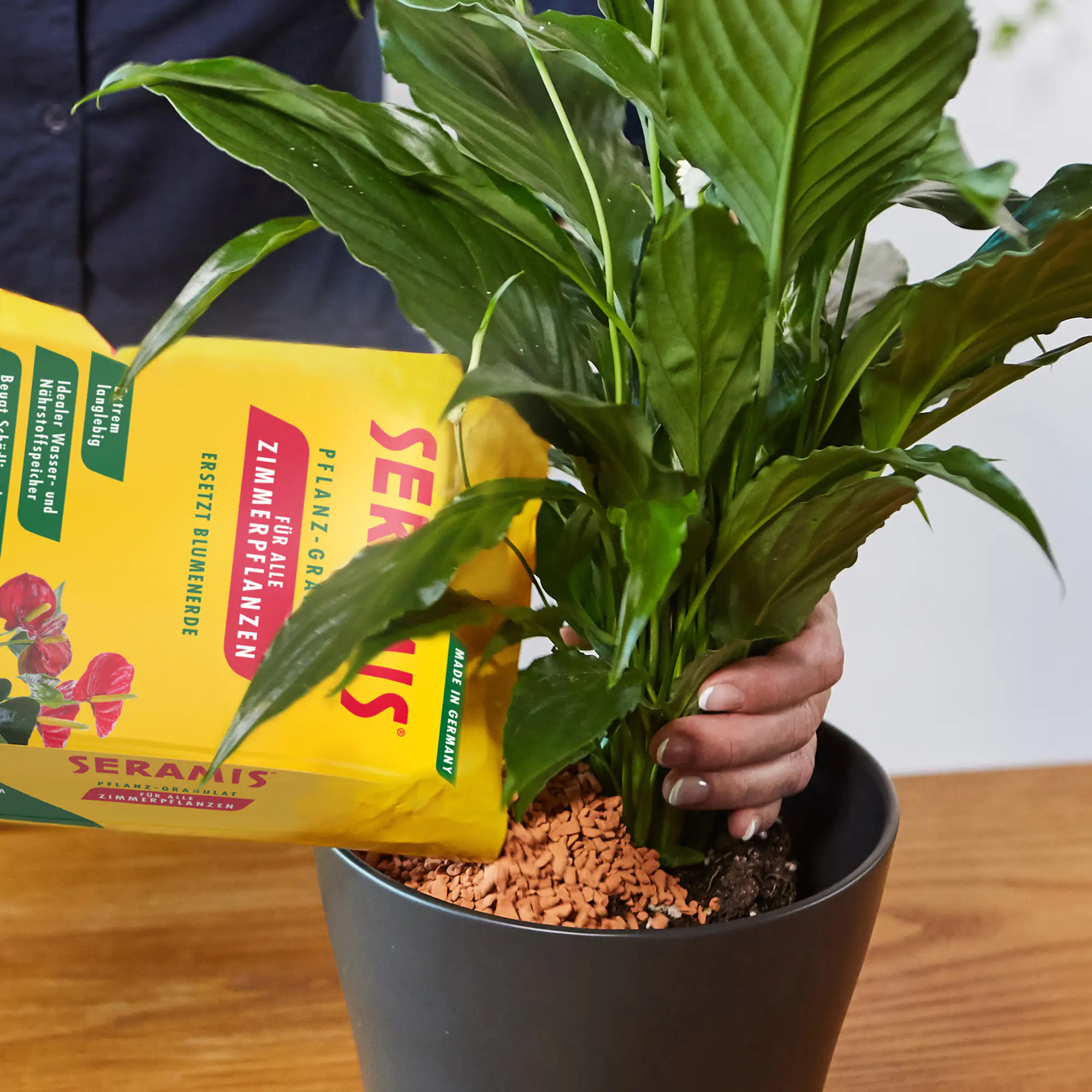 Seramis Pflanz-Granulat für Zimmerpflanzen 15 l + 2 Bio-Vitalkuren gratis