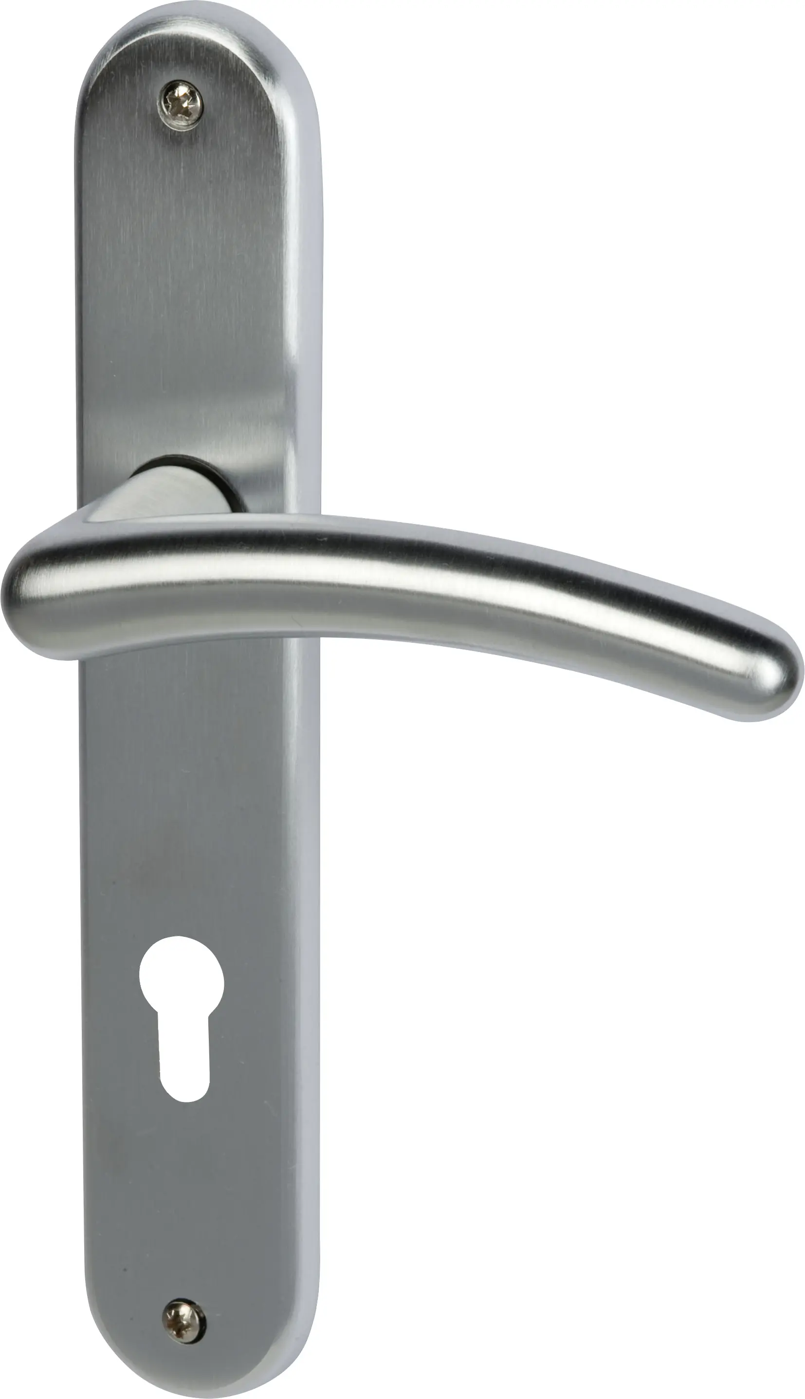 Südmetall Türgriff-Garnitur Langschild Franziska PZ Messing beschichtet/satiniert silber 225 x 40 mm 