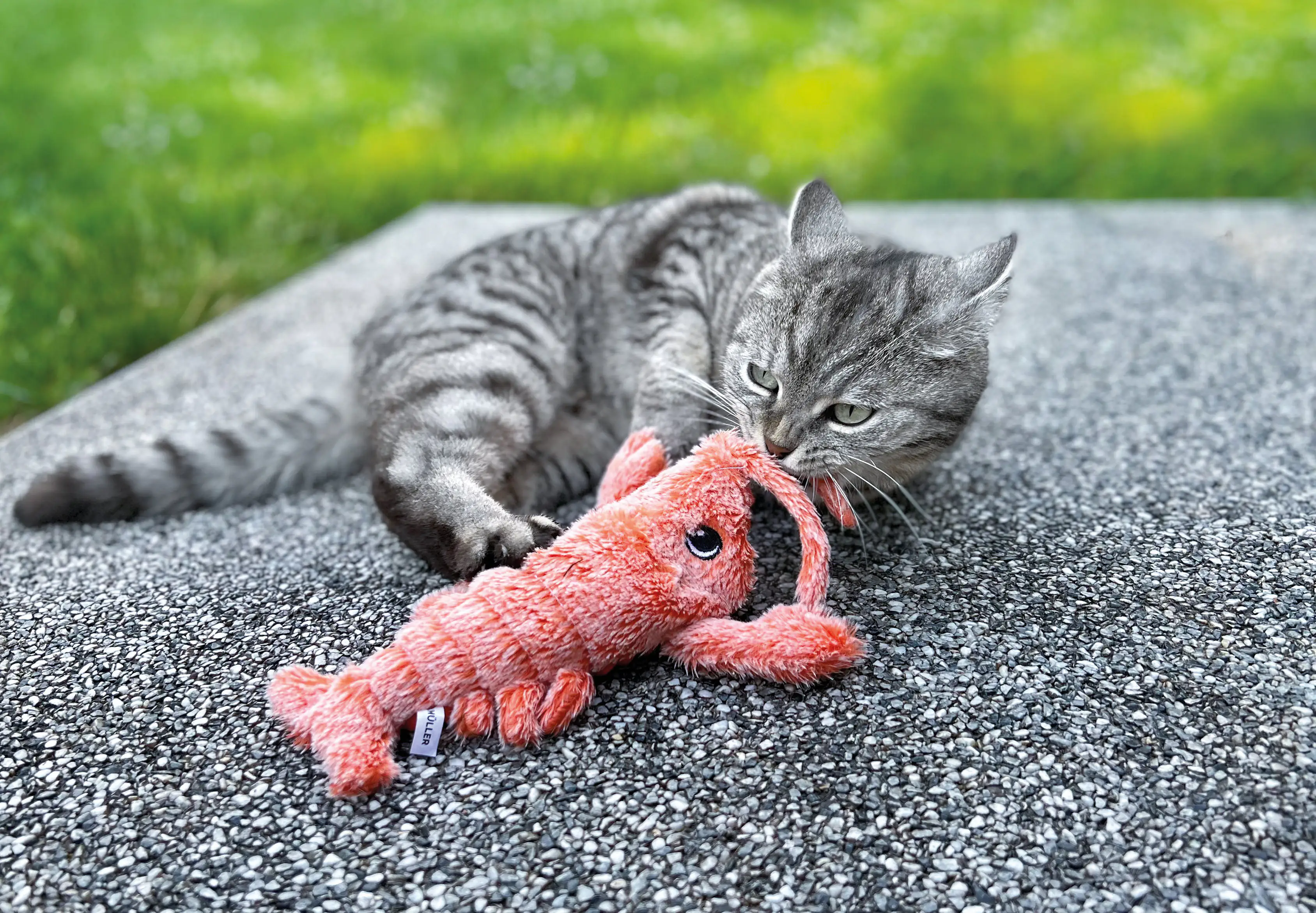 Aumüller Zappel-Hummer Lucky Lobster orange
