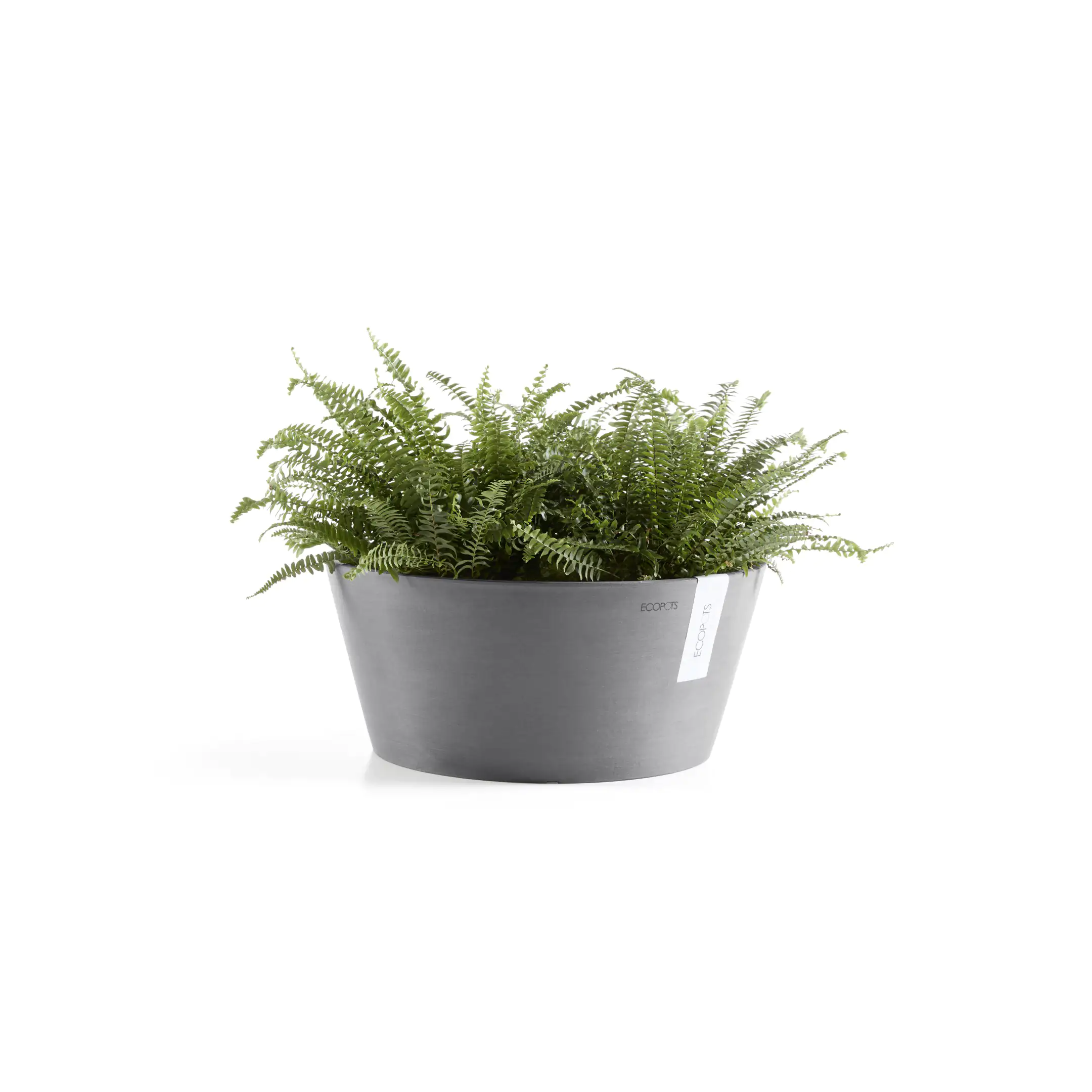 Ecopots Pflanztopf Frankfurt Ø 50 x 25 cm grau