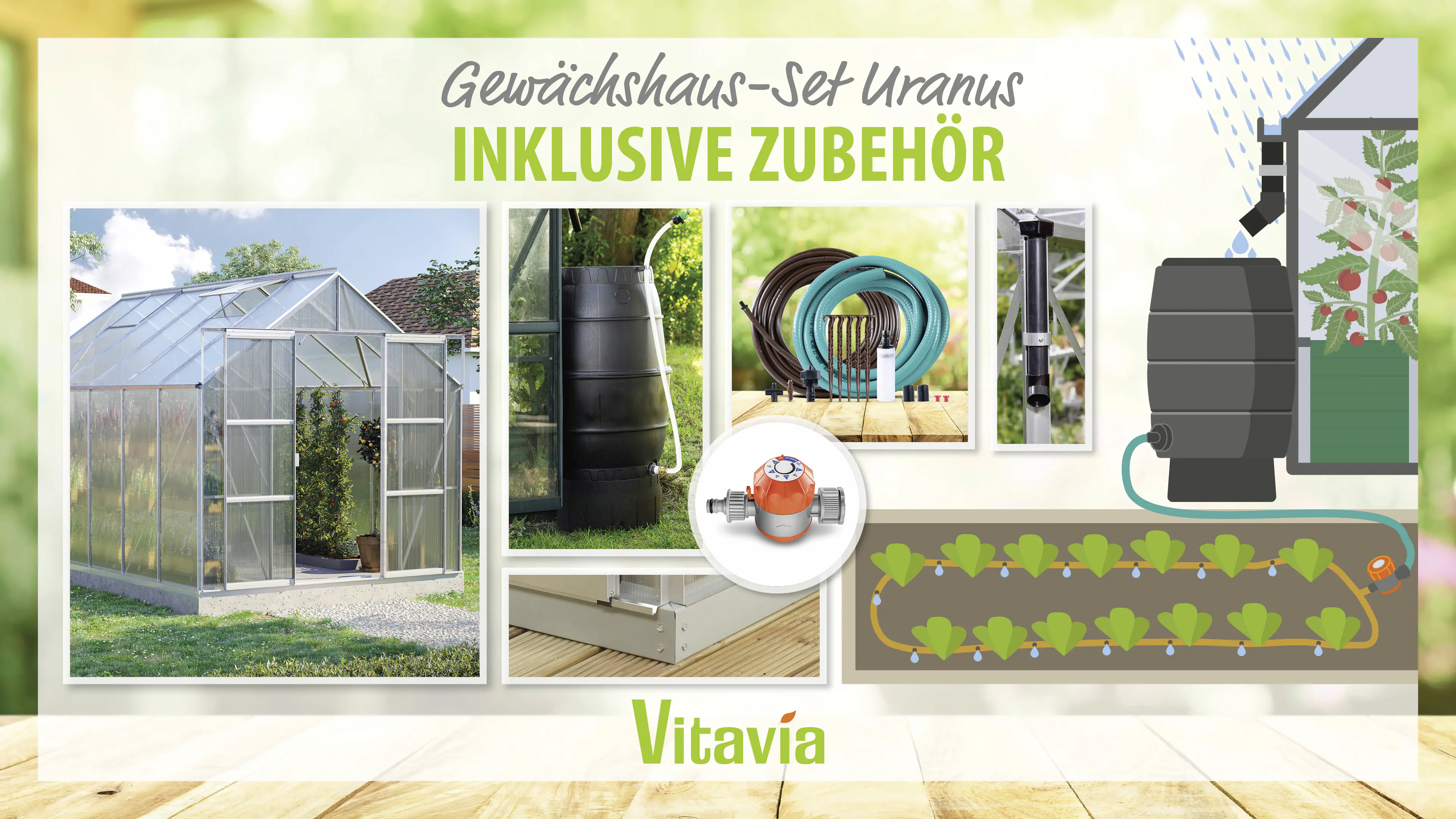 Vitavia Gewächshaus-Set Uranus 9900 HKP 6 mm alu 254 x 379 cm 