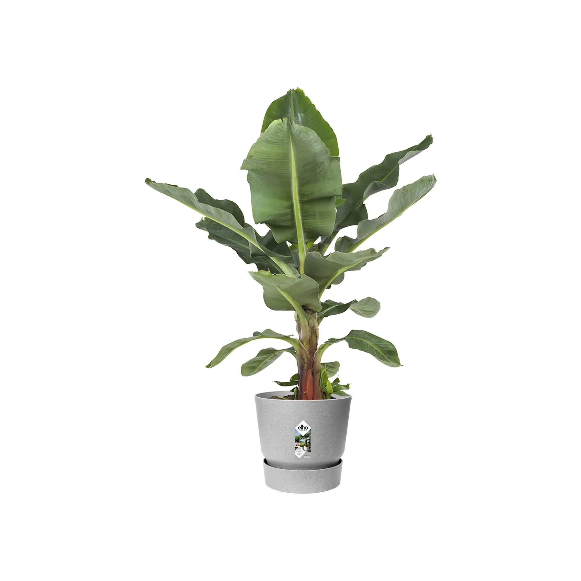 Elho Pflanztopf Greenville beton Ø 40 cm