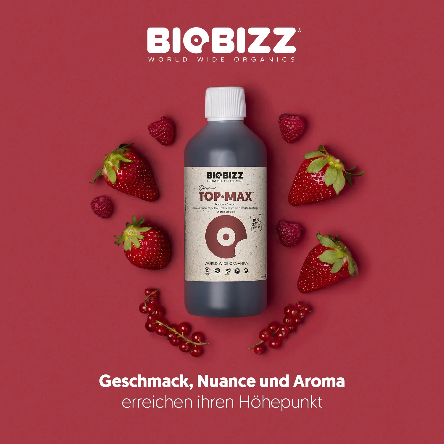 BioBizz Grow Dünger Top-Max 250 ml