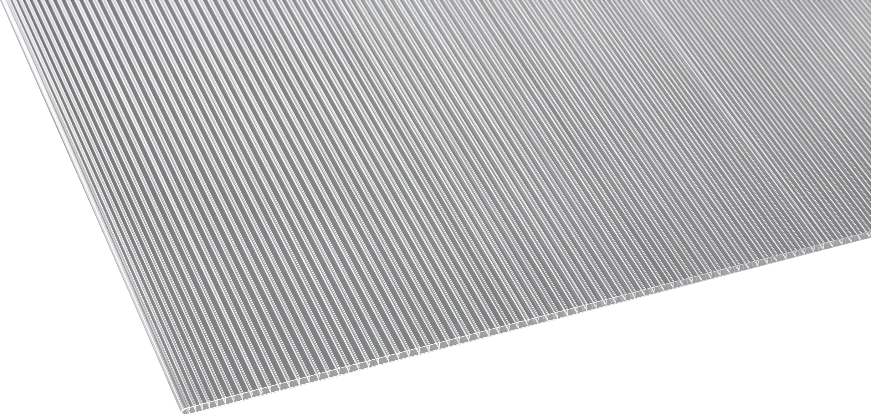 Gutta Polycarbonat-Doppelstegplatte 250 x 98 cm 6 mm klar