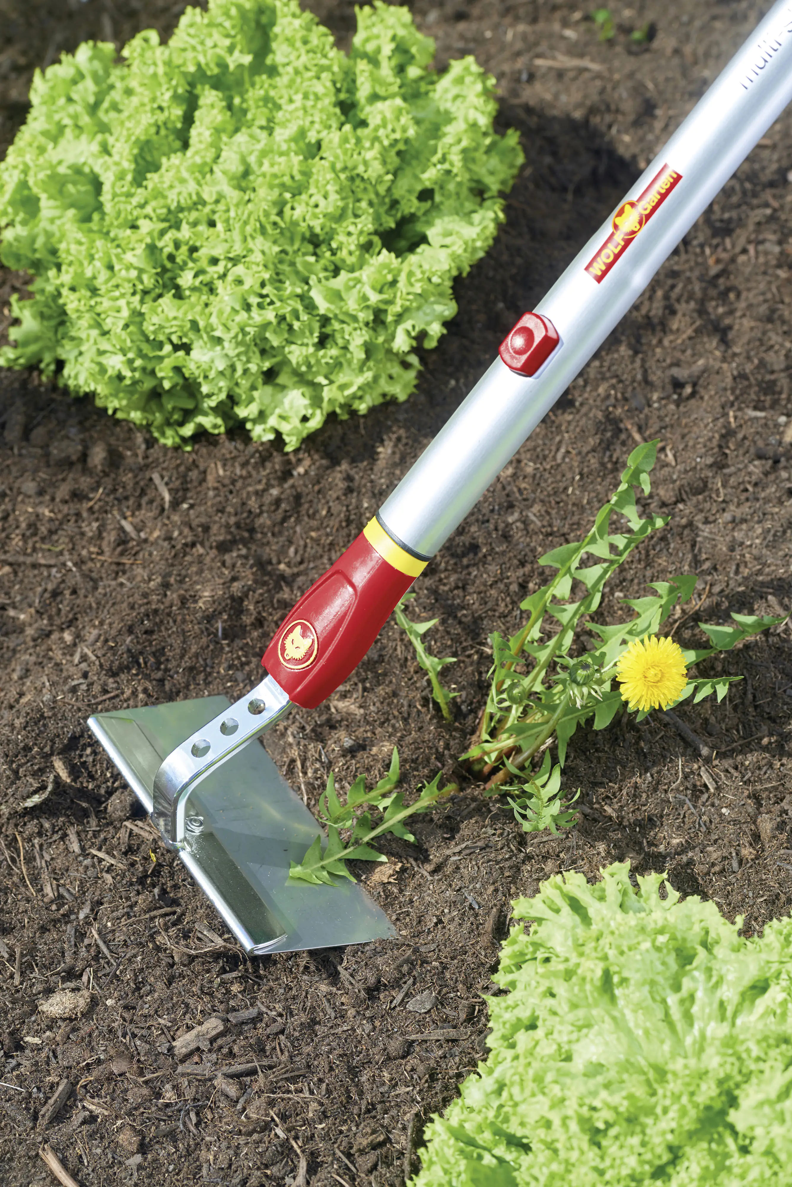 Wolf Garten Hacke HW-M 15 Multi-Star, 15 cm Arbeitsbreite
