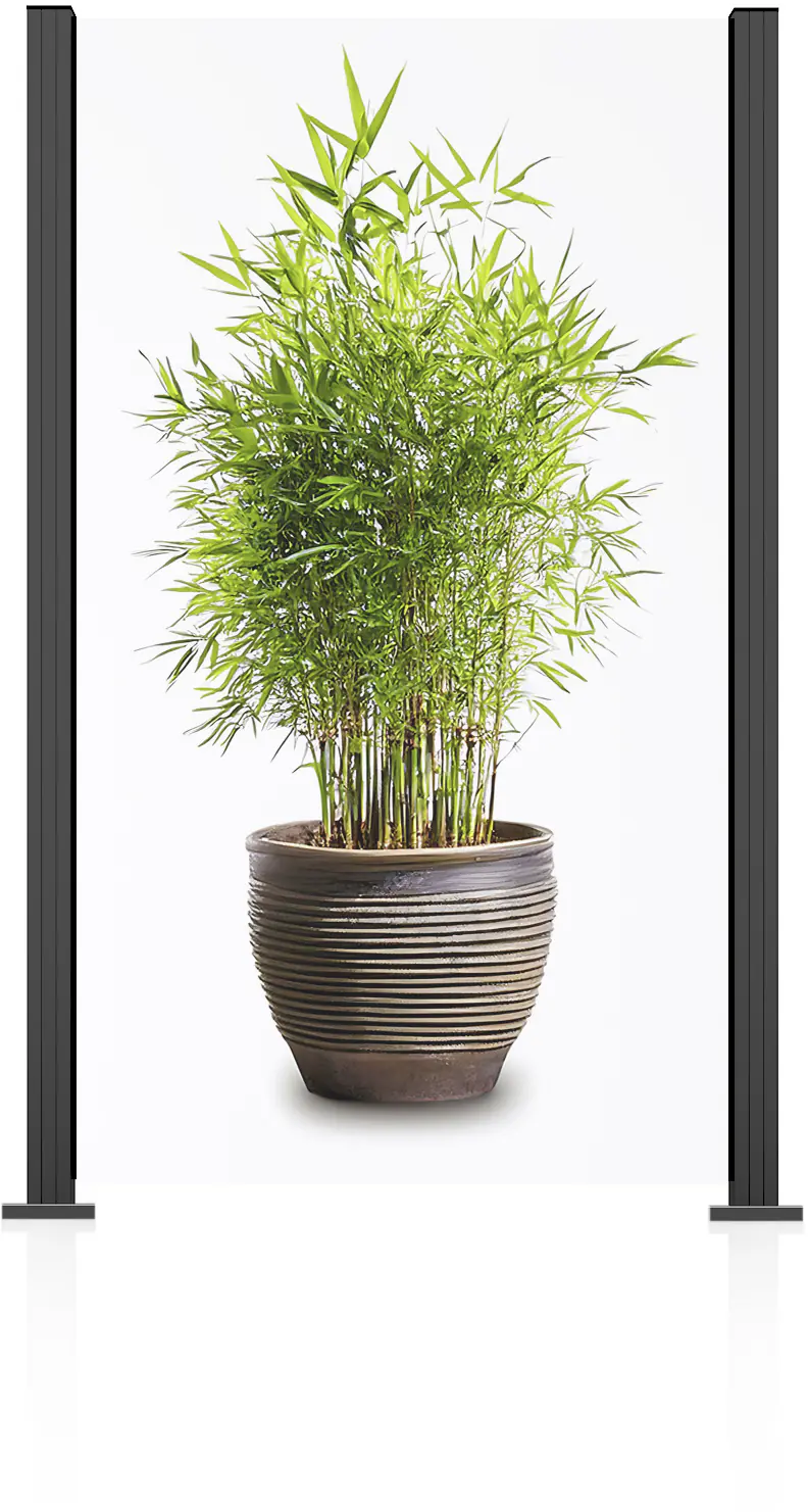 Ambiente Glaszaun Grundset Klarglas 187 x 107,2 cm anthrazit