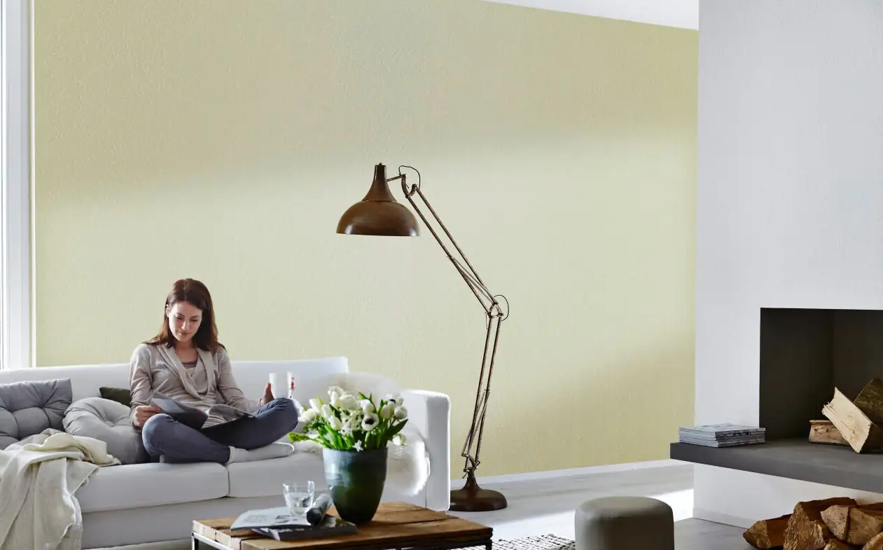 Knauf Easyputz Finishwalze