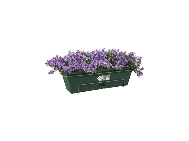 Elho Balkonkasten Green Basic All in 1 grün 50 cm