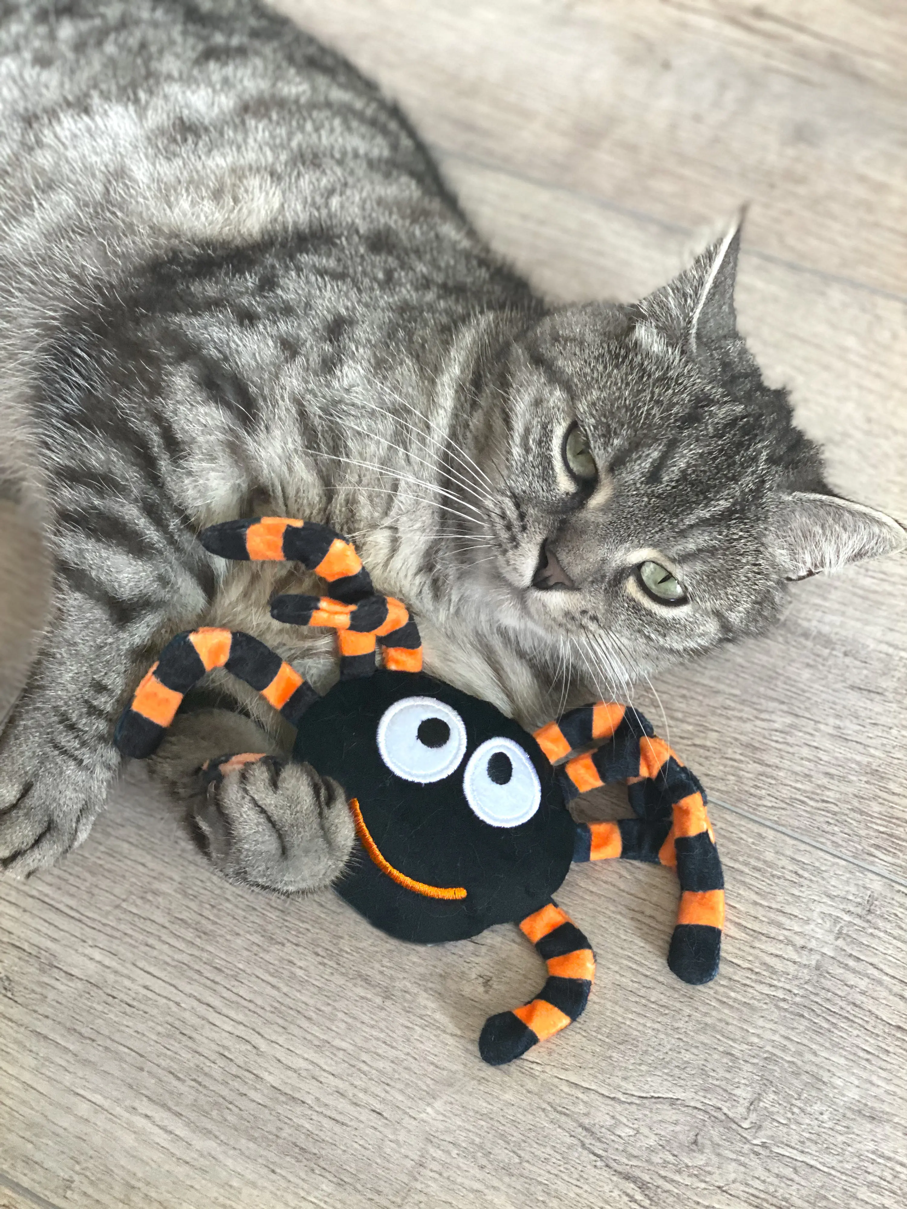 Aumüller Katzenspielzeug Spinne Thekla 18 cm schwarz orange