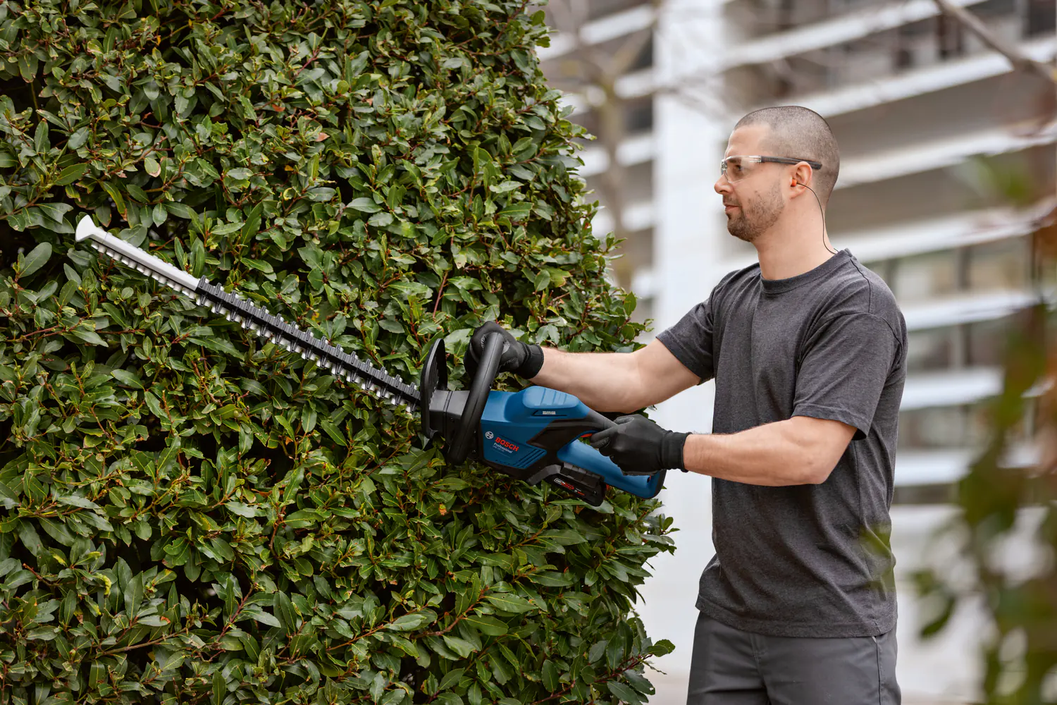 Bosch Professional Akku-Heckenschere GHE 18V-50 AMPShare 18V