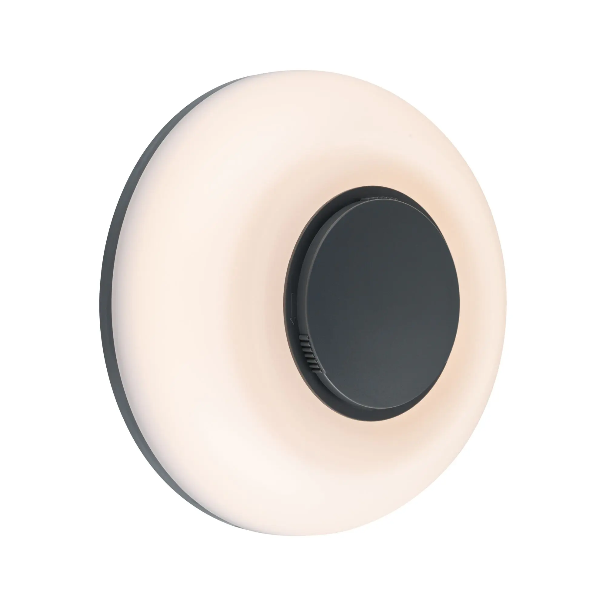 Paulmann LED-Außenleuchte Aureva Ø 22cm 20,5 W anthrazit/weiß