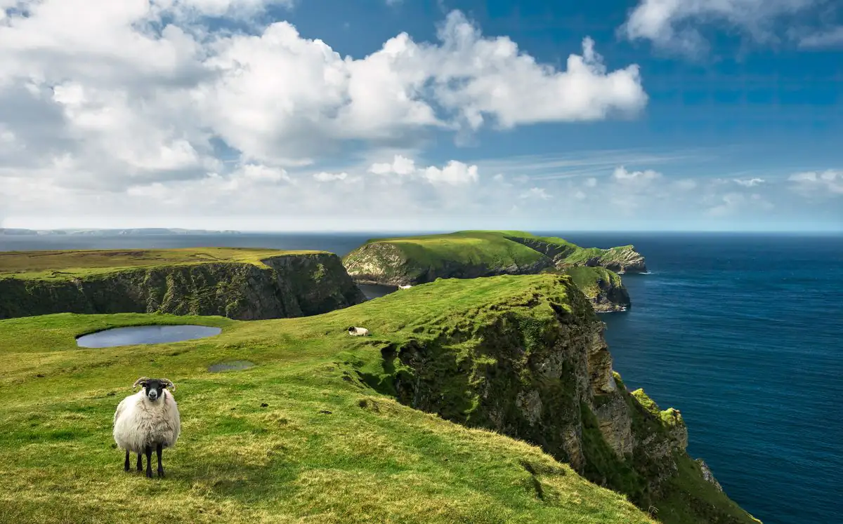Komar Vlies Fototapete Green Ireland 450 x 280 cm 