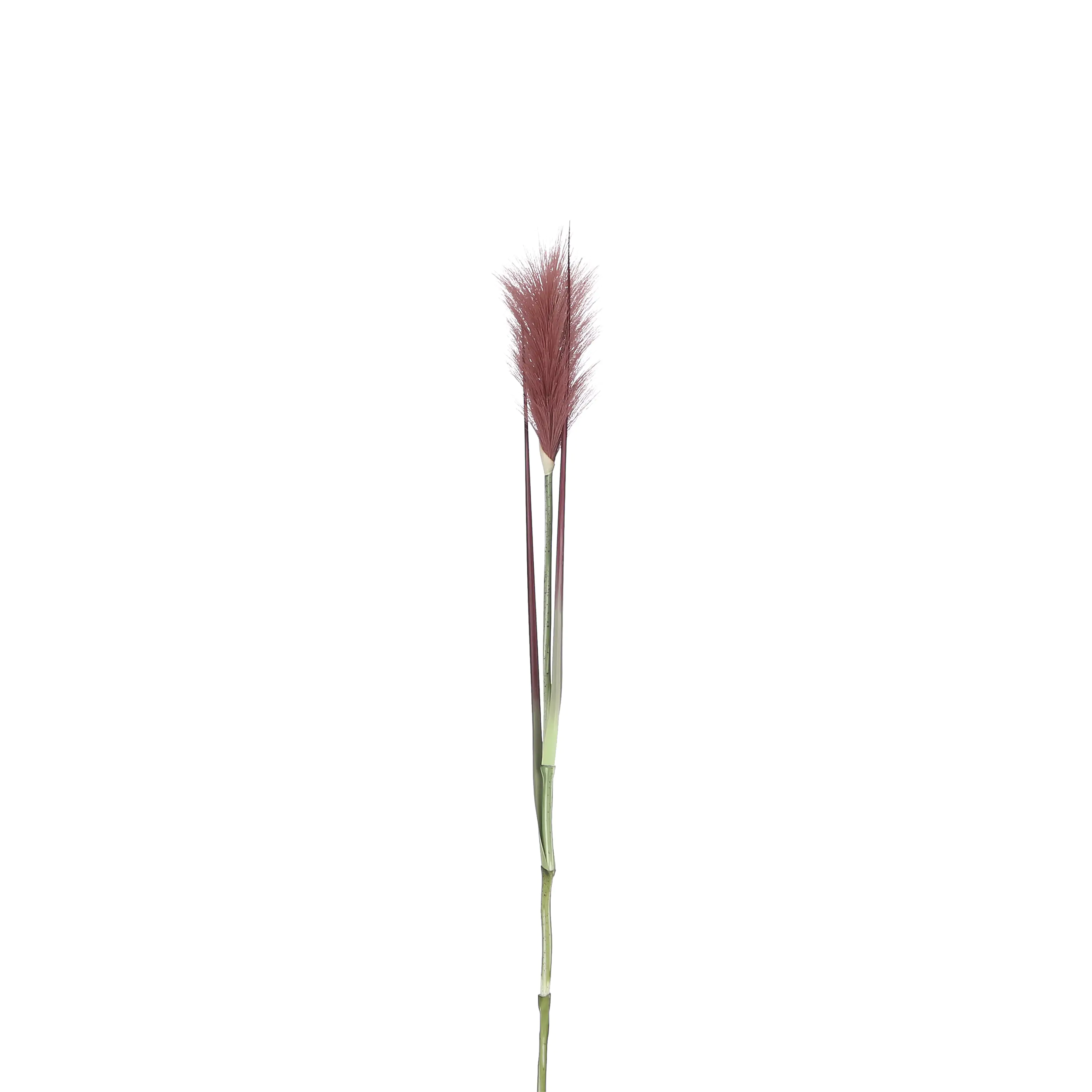 Mica Federgras rot 72 x 10 cm