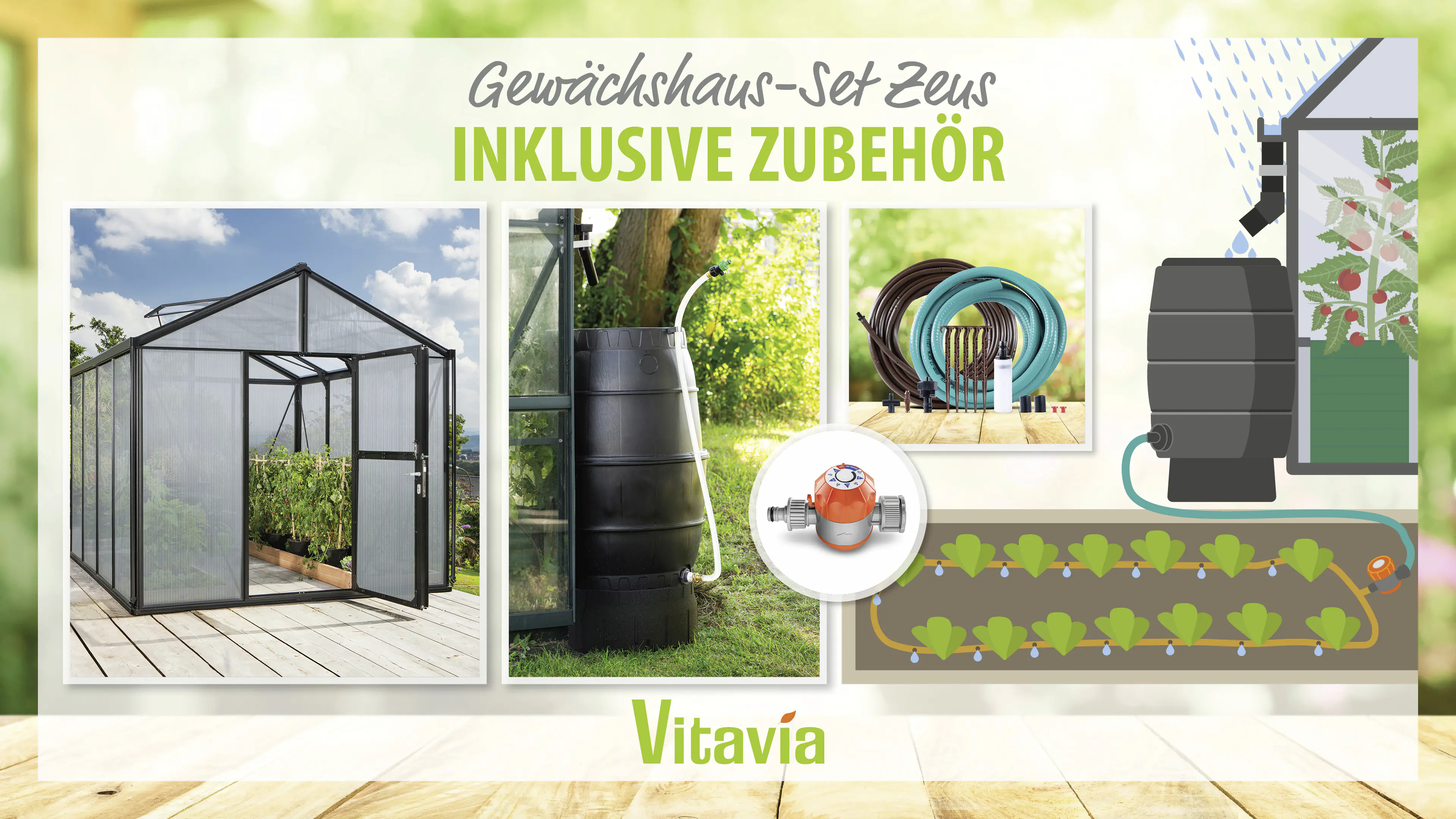 Vitavia Gewächshaus-Set Zeus 8100 HKP 10 mm schwarz 266 x 324 cm 