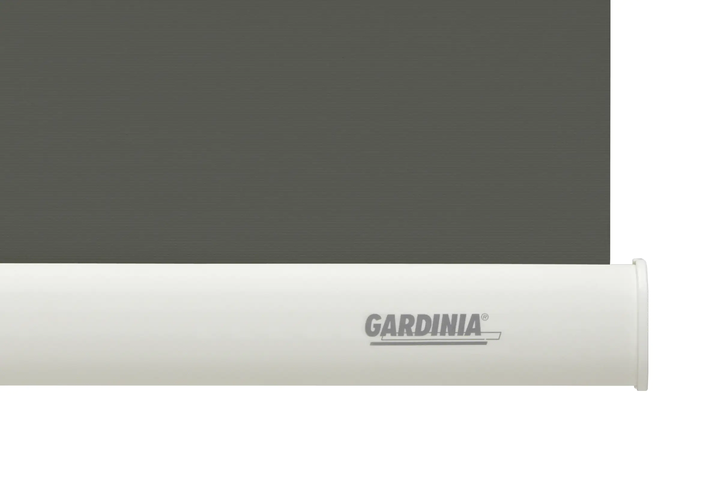Gardinia Seitenzugrollo grau 82 x 180 cm