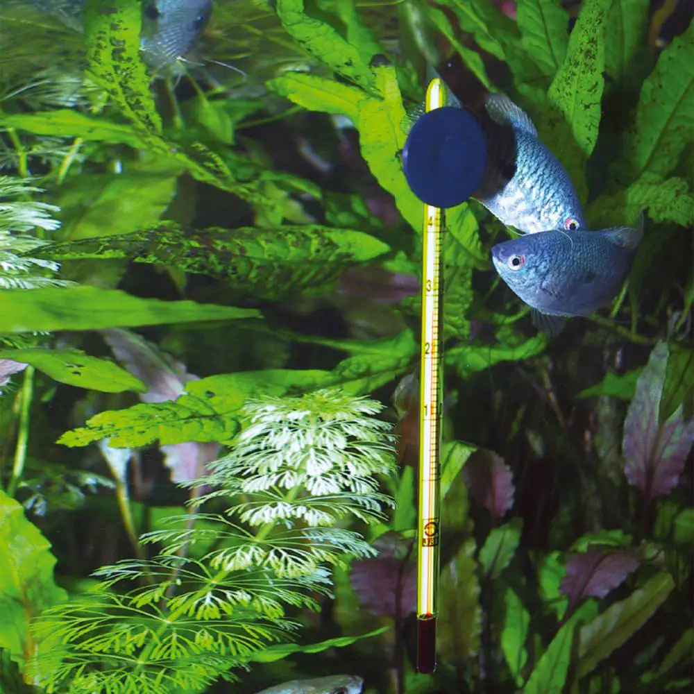 JBL Aquarien-Thermometer Premium Schlankes Glas-Präzisionsthermometer