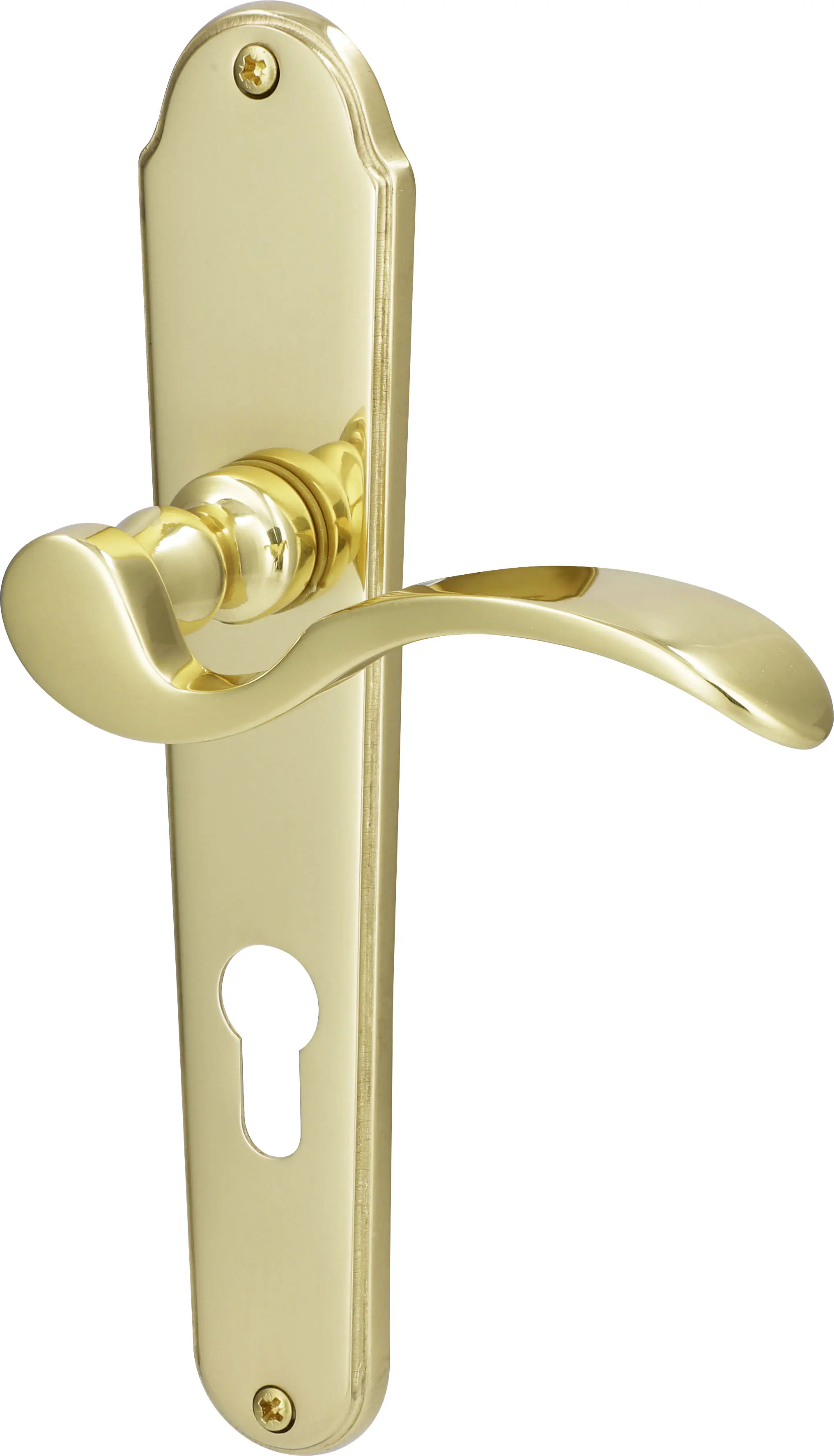 Südmetall Türgriff-Garnitur Langschild Panda PZ Messing poliert gold 225 x 45 mm 