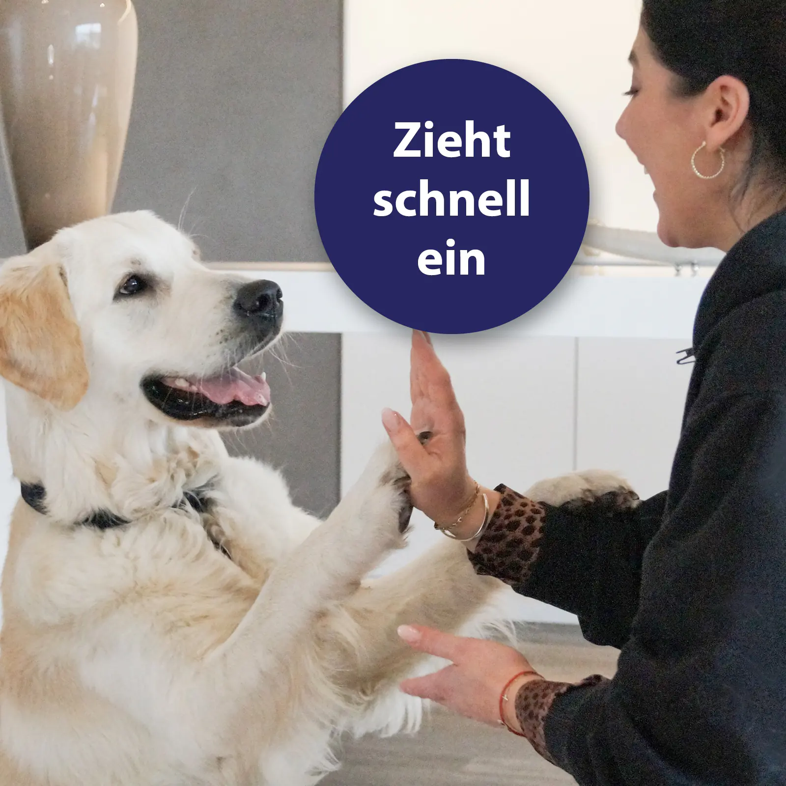Canosept Pfotenpflege für Hunde 75 g