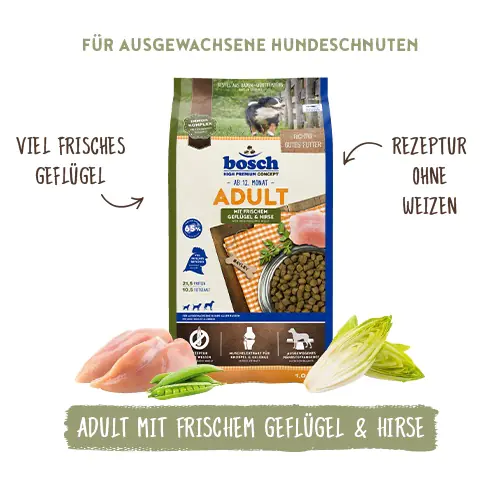 Bosch Hundetrockenfutter Adult 15 kg Geflügel & Hirse