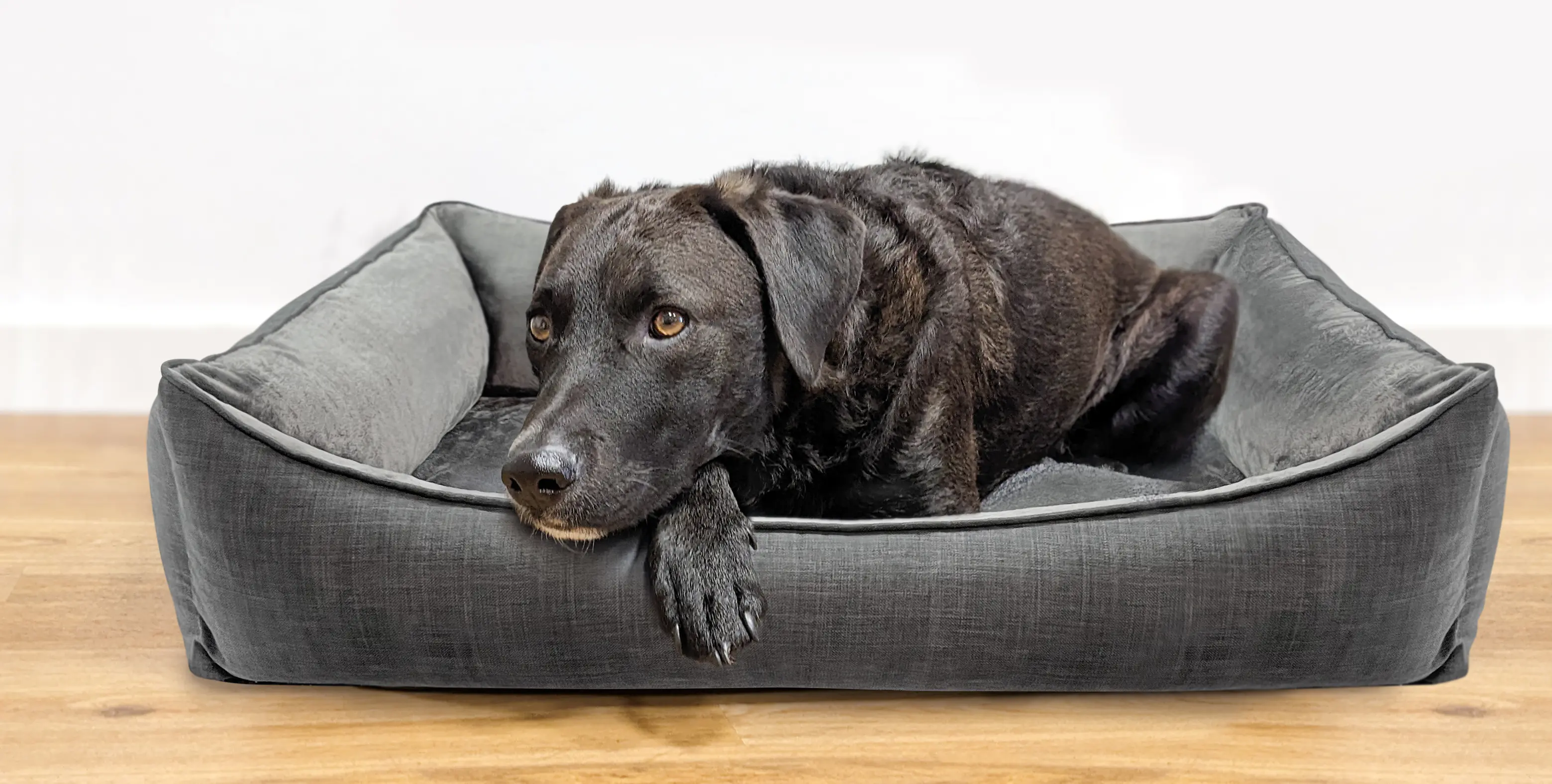 MyPlace Hundebett Mara anthrazit