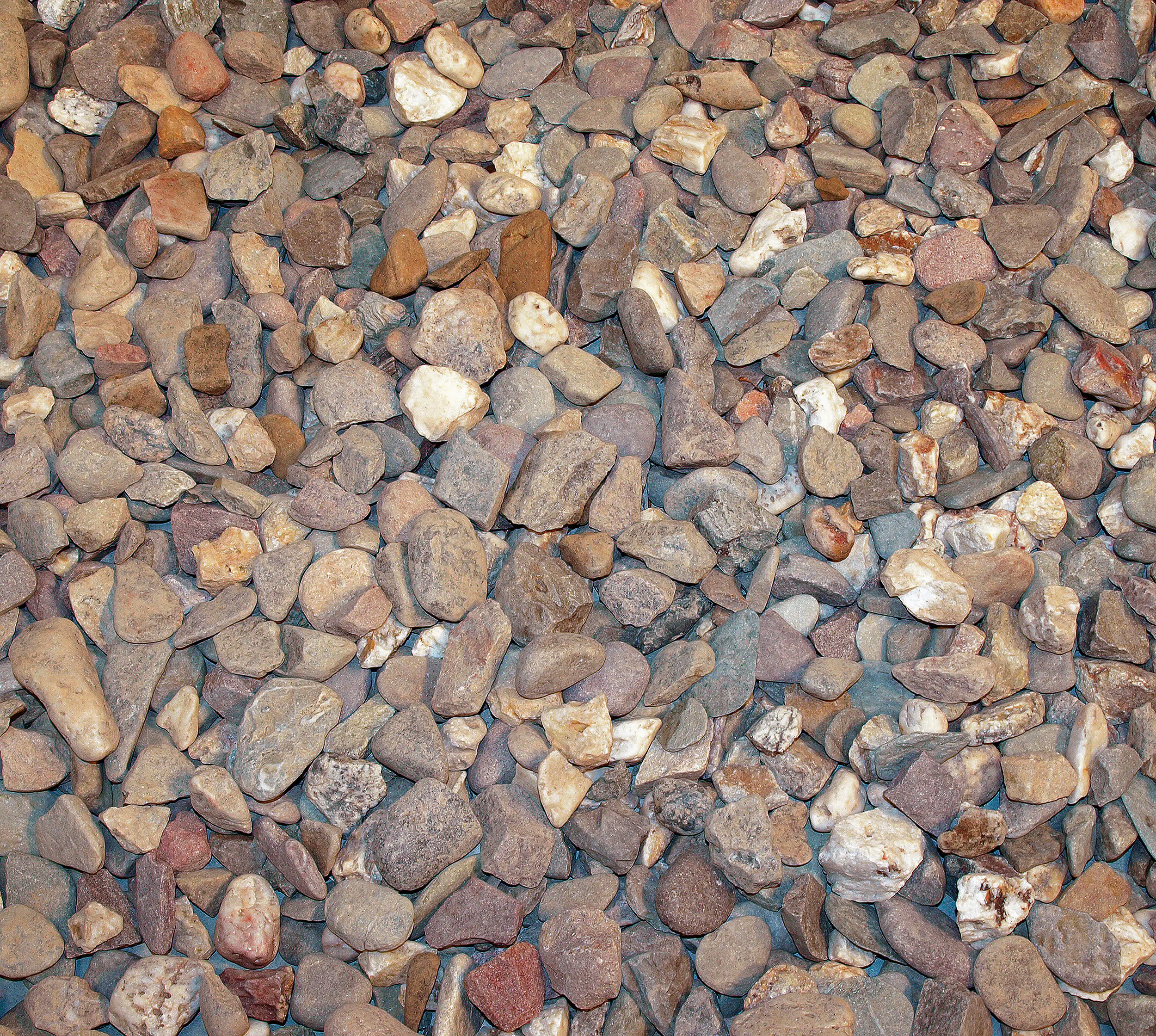 Rheinkies 8 - 16 mm 25 kg