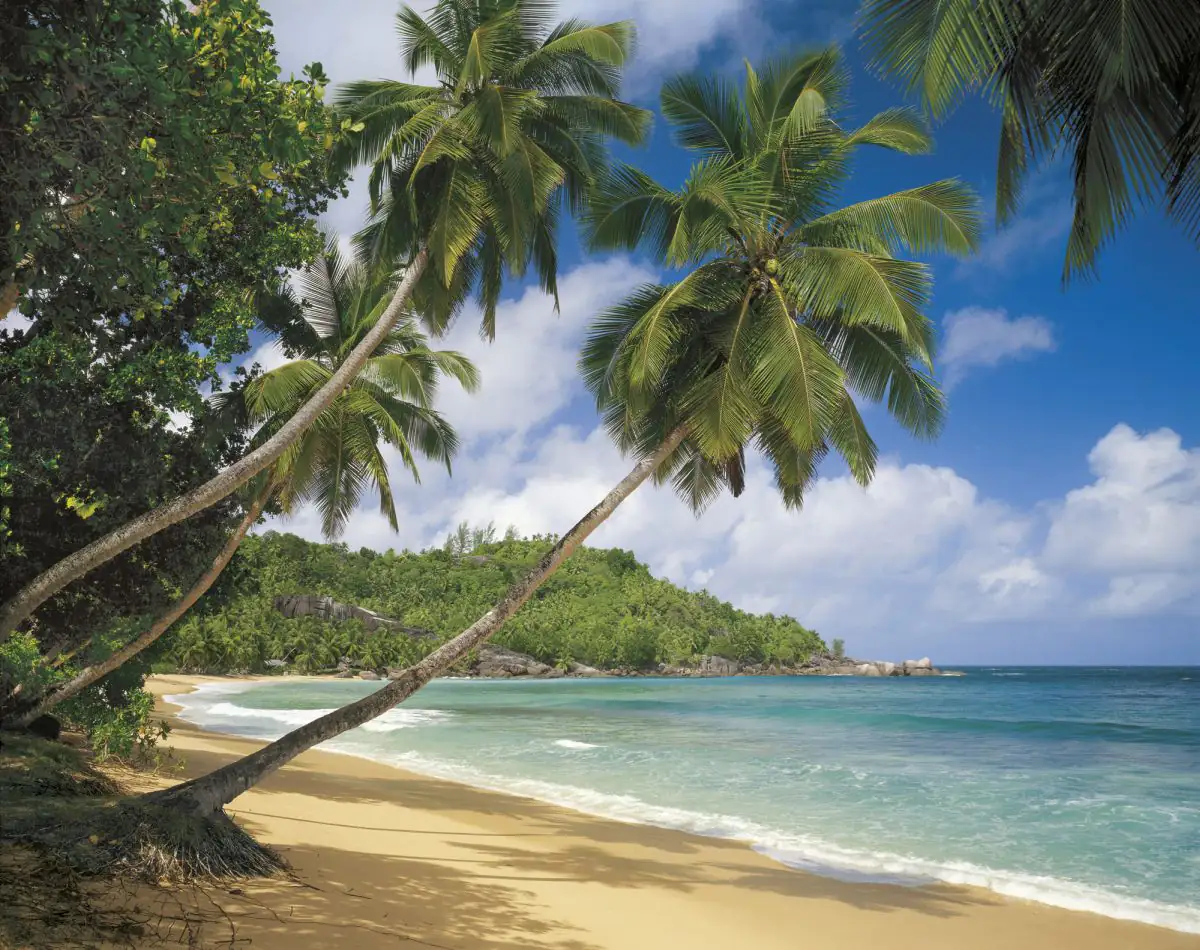 Komar Fototapete Tropical Sea 368 x 254 cm 