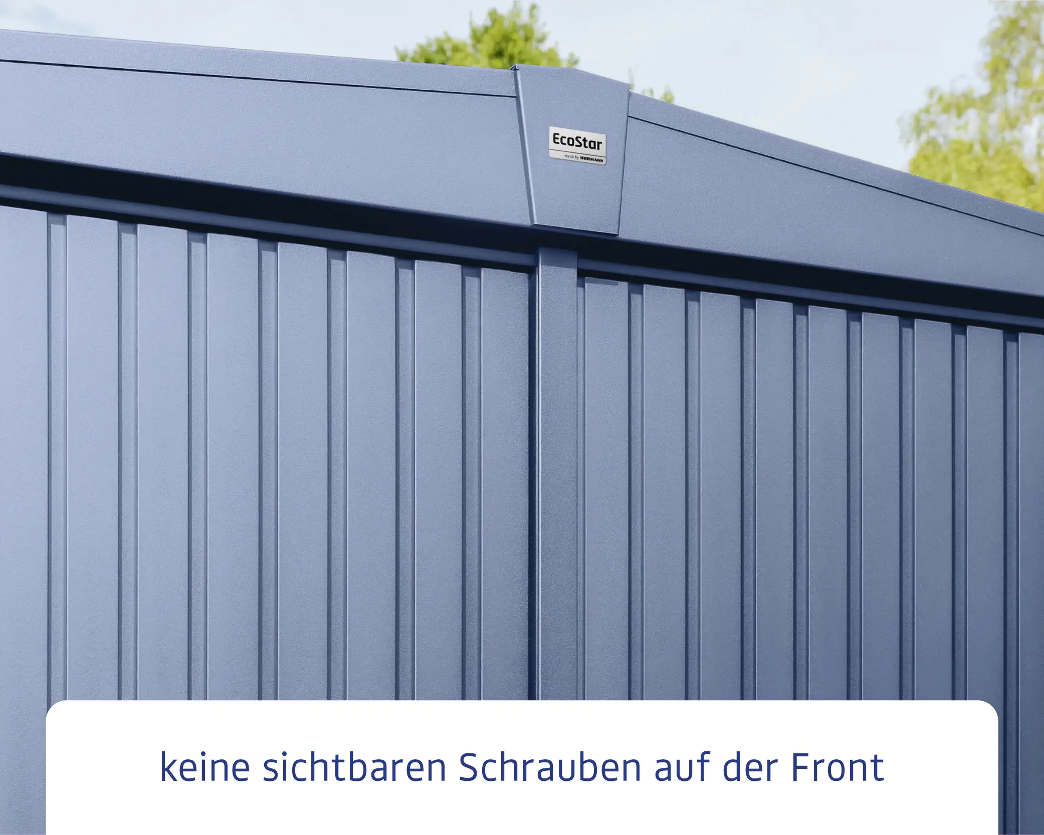 EcoStar Gerätehaus Trend-S Typ 2 258,8 x 247,7 x 216 cm taubenblau
