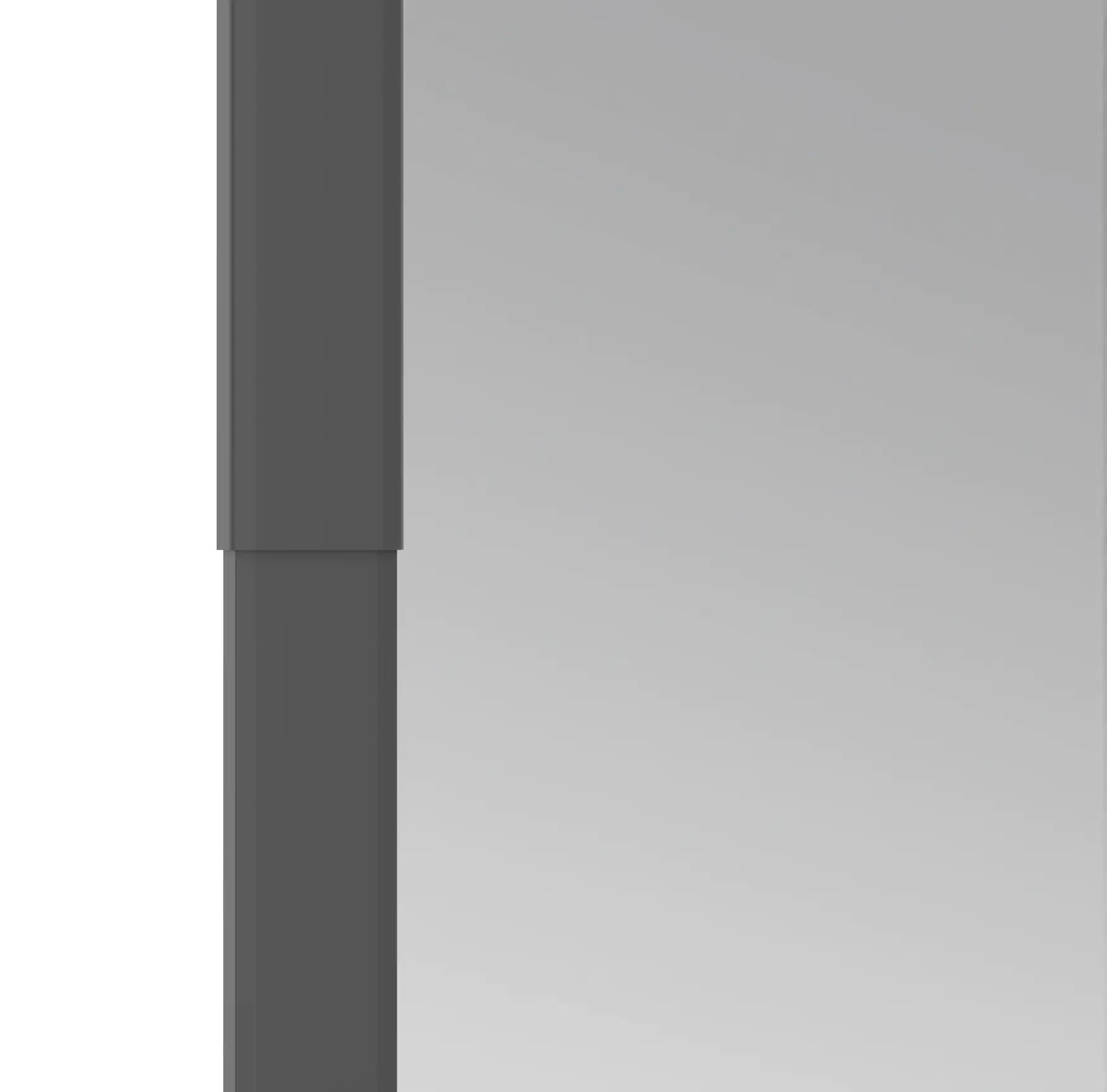 Windhager IS Plus Teleskoptür 100 x 210cm schwarz/anthrazit