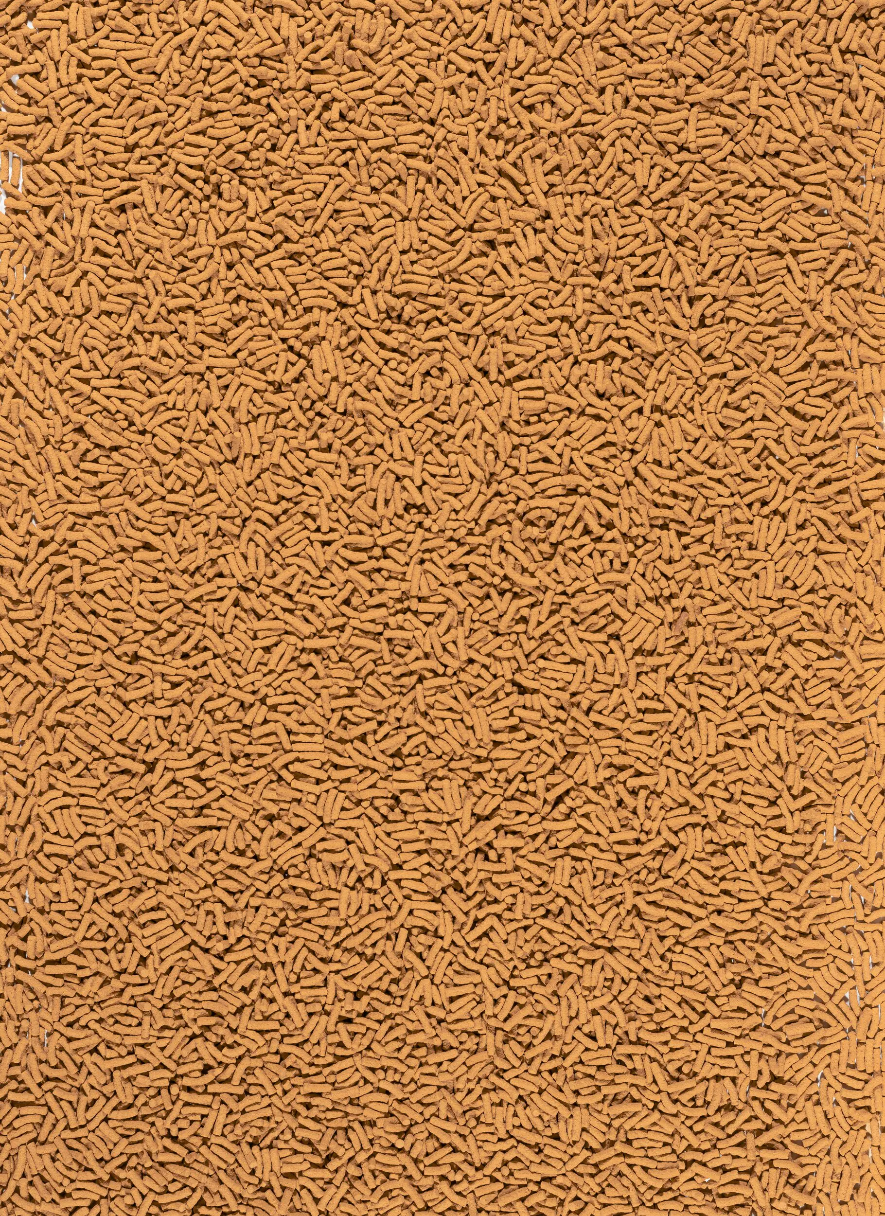 Tetra Pond Koi Sticks 1 L