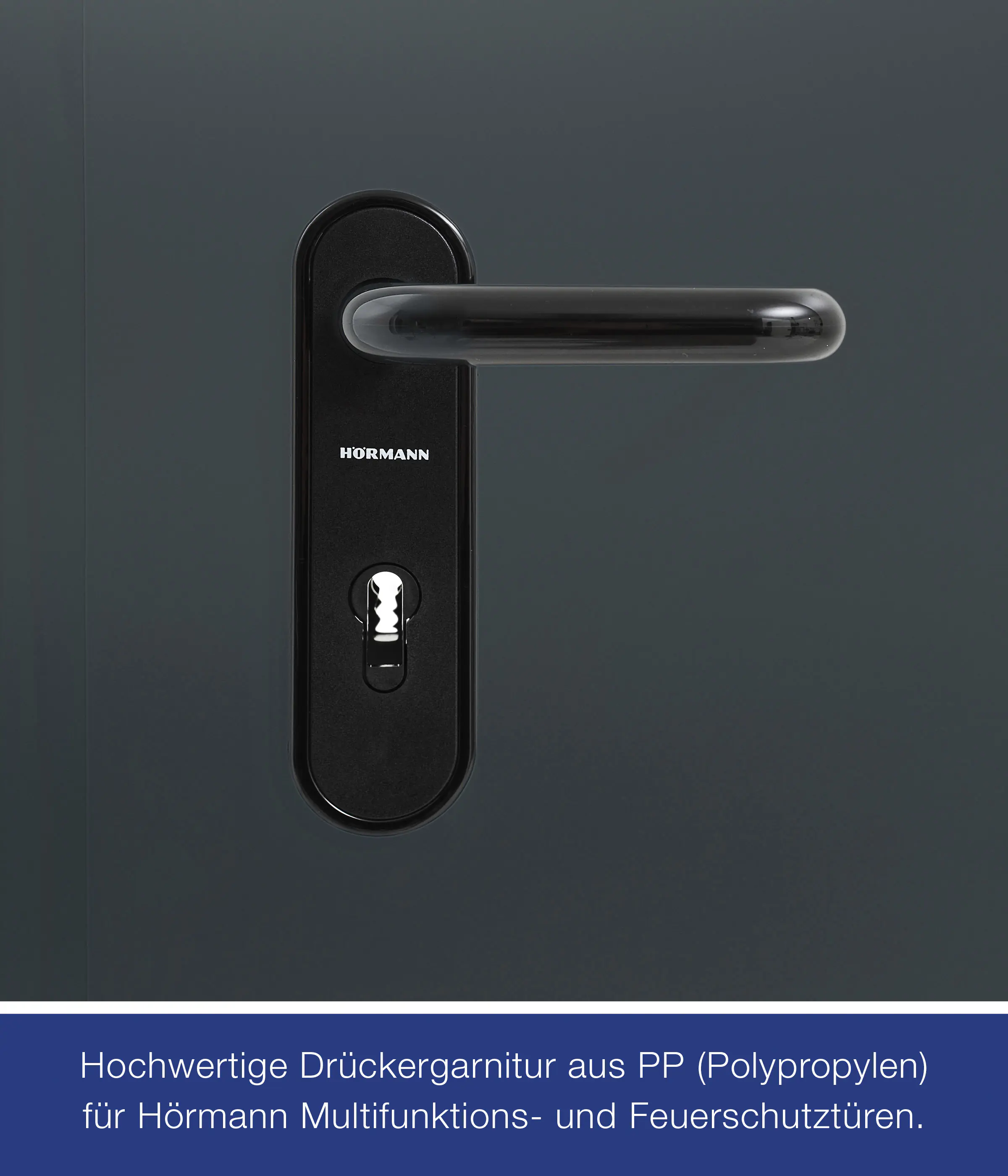 Hörmann Feuerschutztür anthrazitgrau T-30 87,5 x 200 cm Links/Rechts