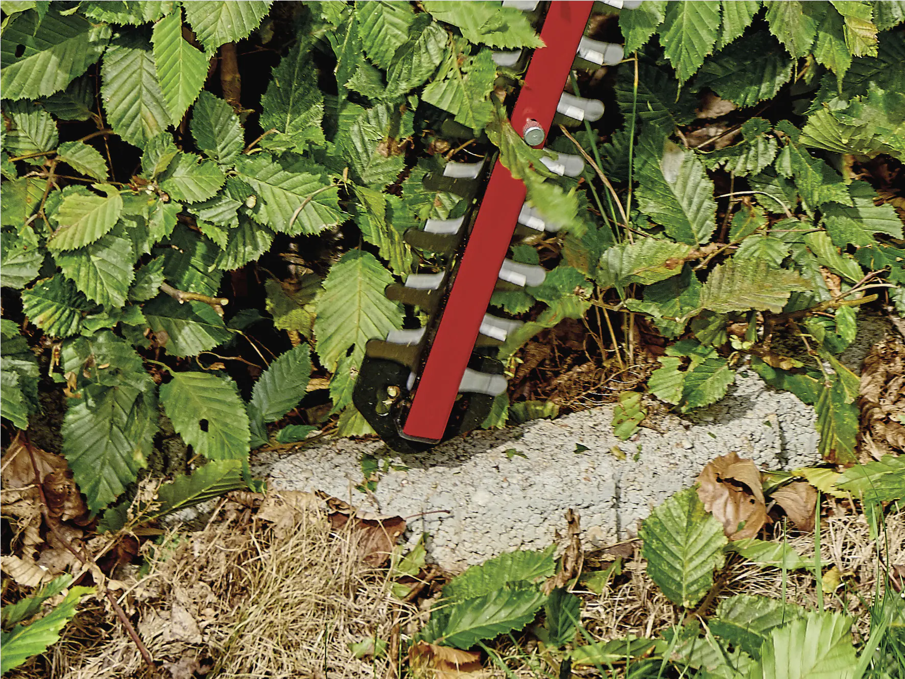 Einhell Akku-Heckenschere ARCURRA 18/55 55 cm Schnittlänge