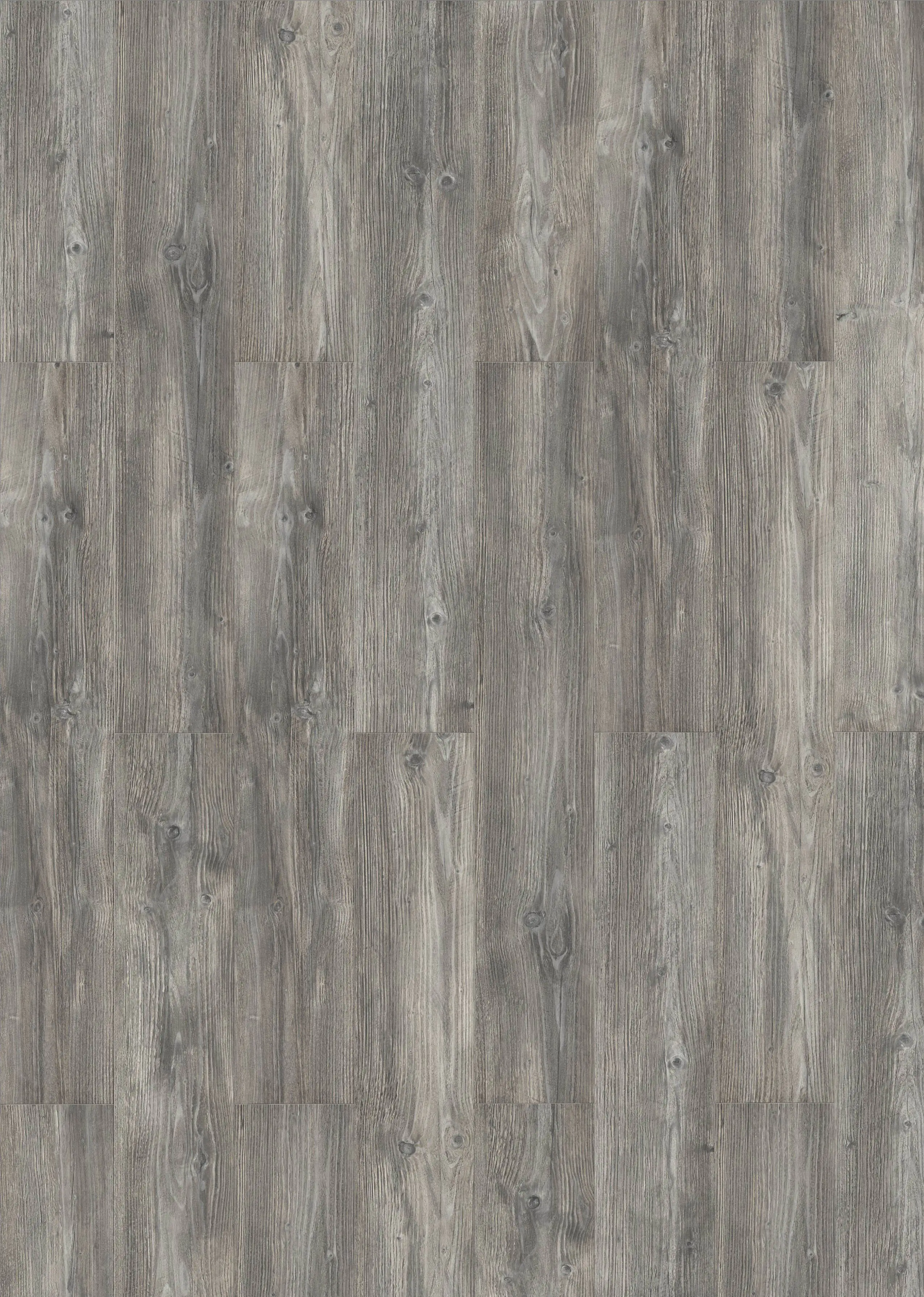 Classen Laminat 7 mm 4V 128,6 x 19,4 cm 7 mm Kiefer grau