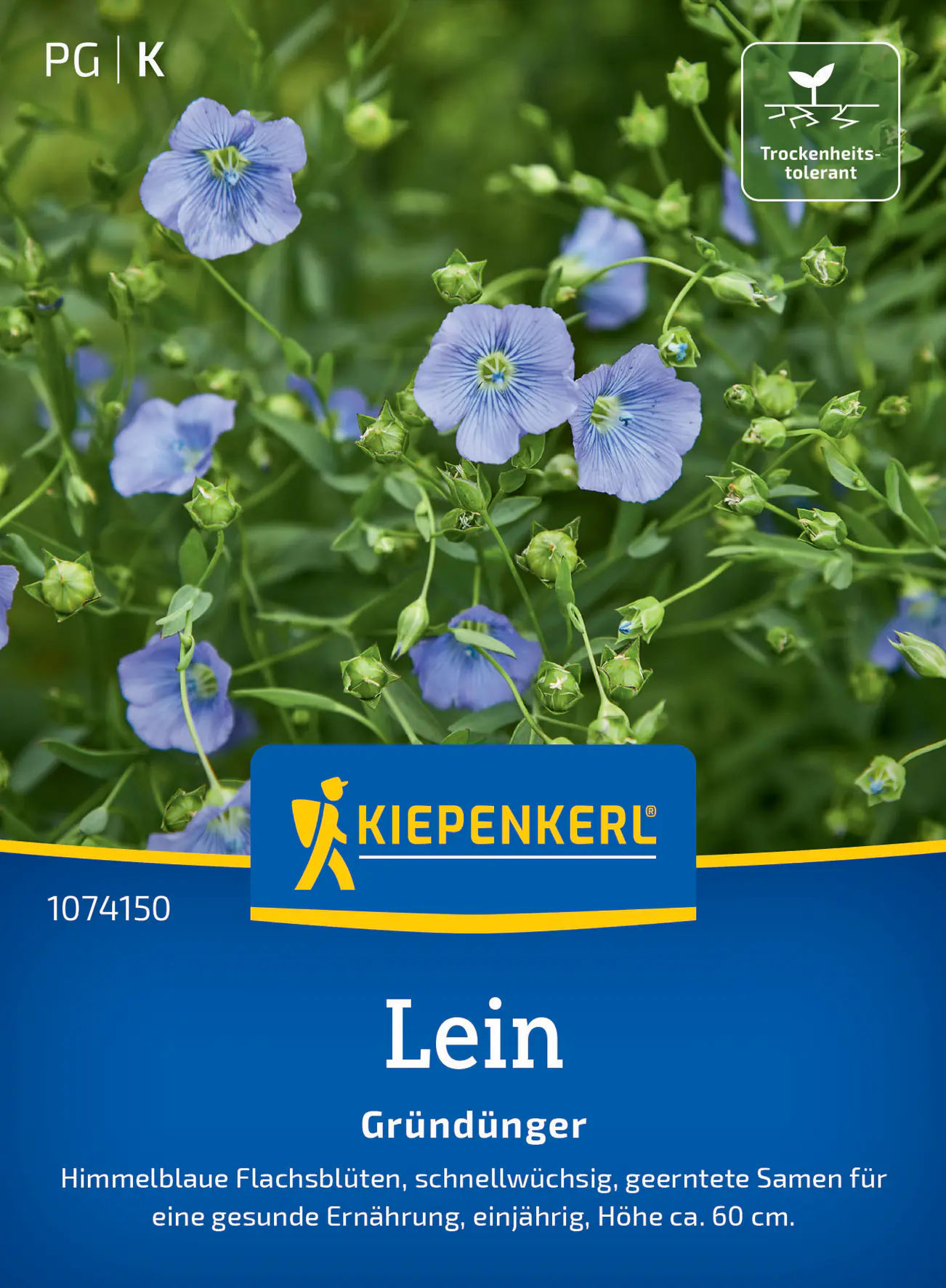 Kiepenkerl Saatgut Lein Blauer Flachs für ca. 10 m²