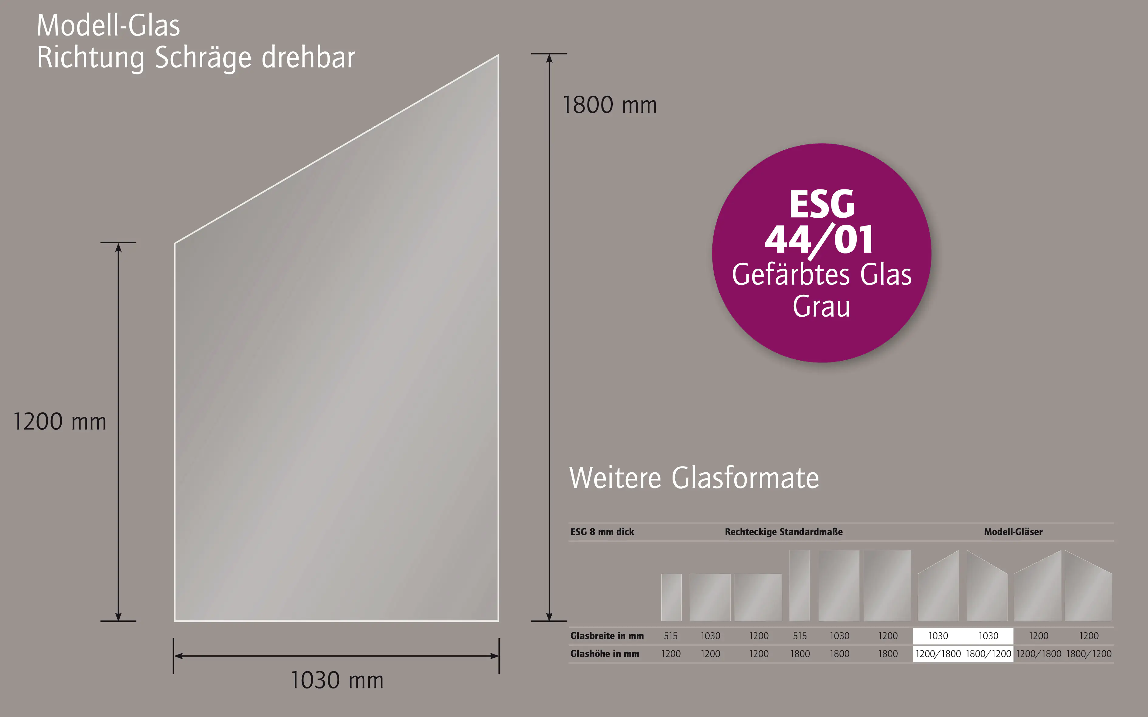 Ambiente Glaszaun schräg B: 103 x H: L 120/R 180 cm, gehärtetes 8 mm Glas