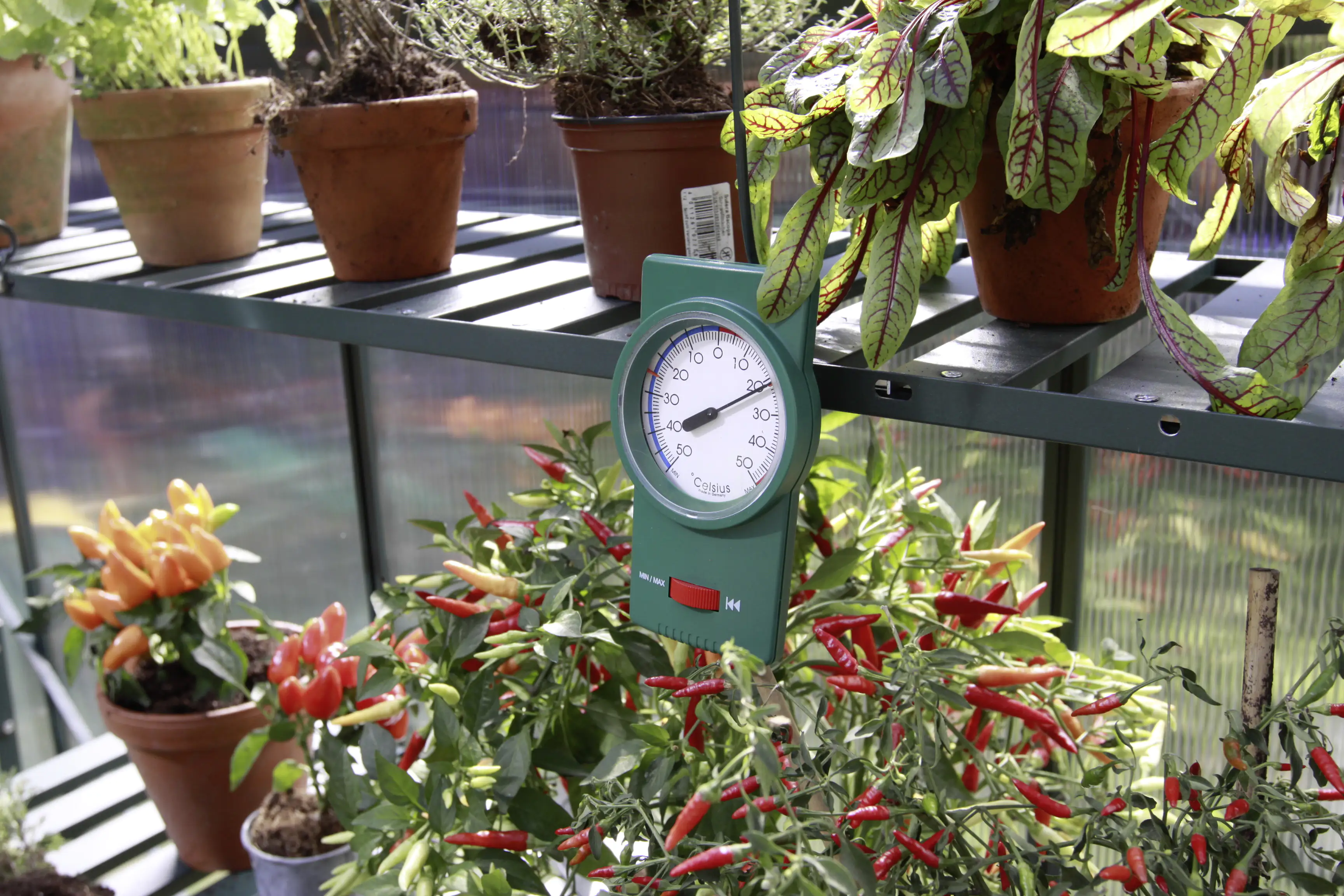 Vitavia Min-Max-Thermometer