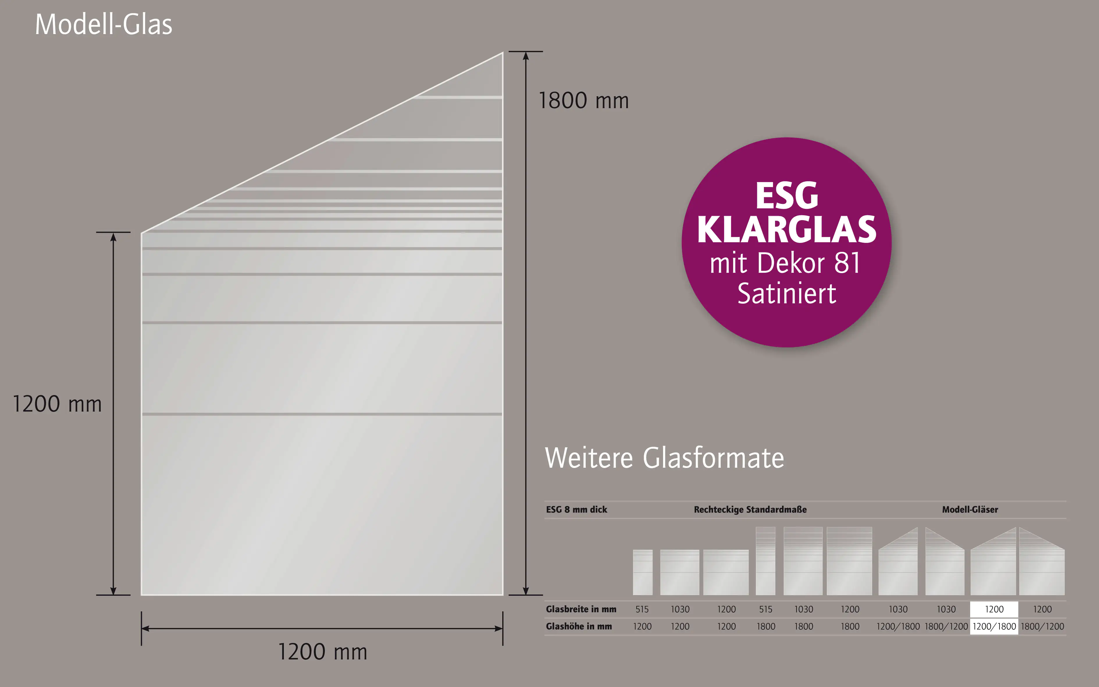 Ambiente Glaszaun Dekor 81 schräg 120 x 120/180 cm gehärtetes 8 mm Glas