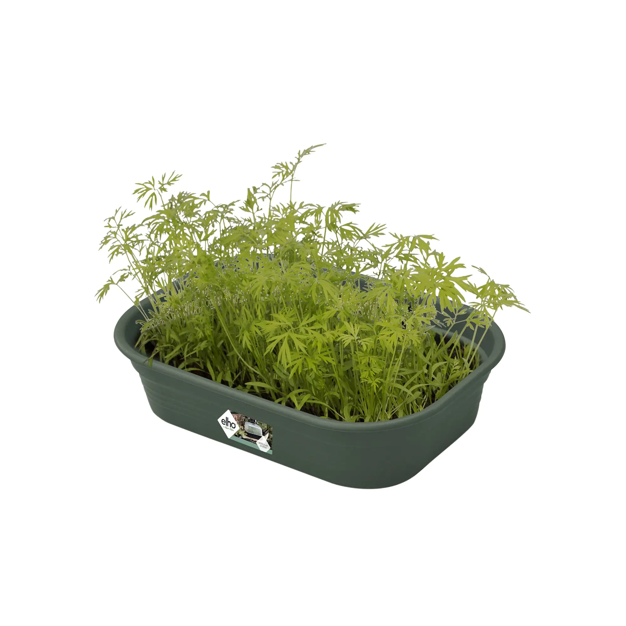 Elho Anzuchtschale Green Basic Gr. S laubgrün 24 x 17  cm