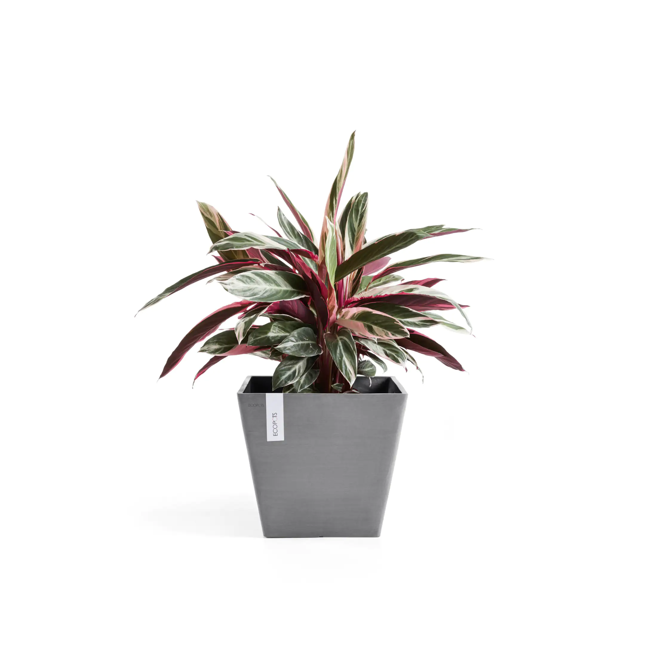 Ecopots Pflanztopf Rotterdam 30 x 30 x 26 cm grau