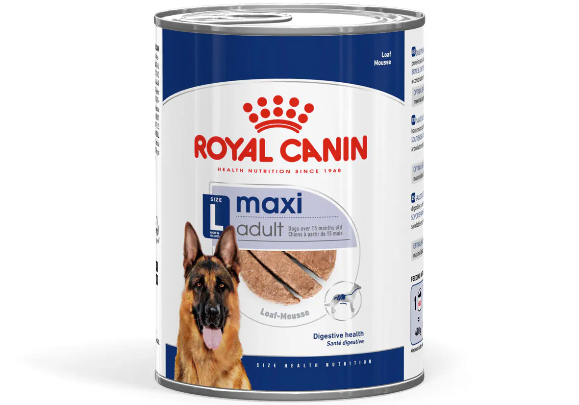 Royal Canin Hundenassfutter Adult 410 g Maxi Mousse 