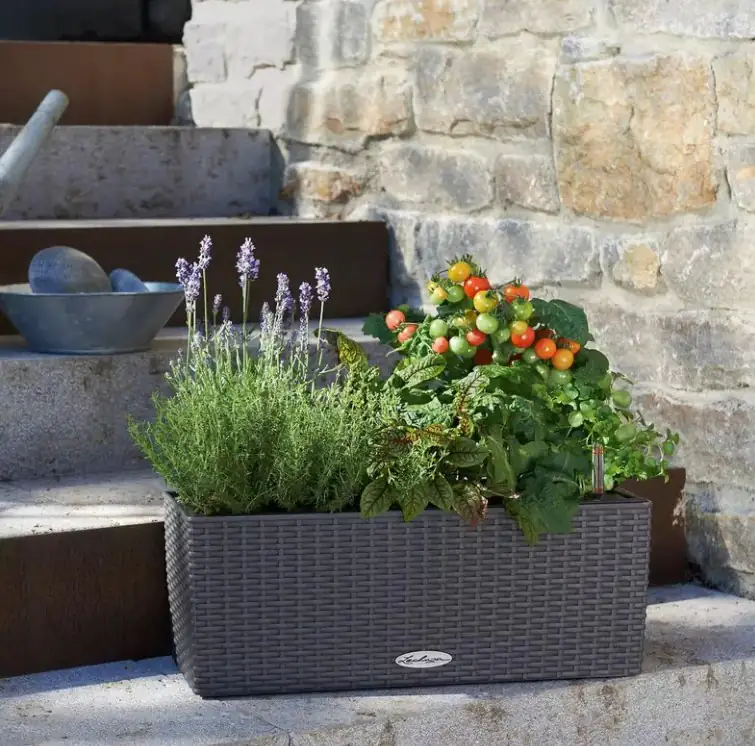 Lechuza Balkonkasten Balconera Cottage 50 sandbraun