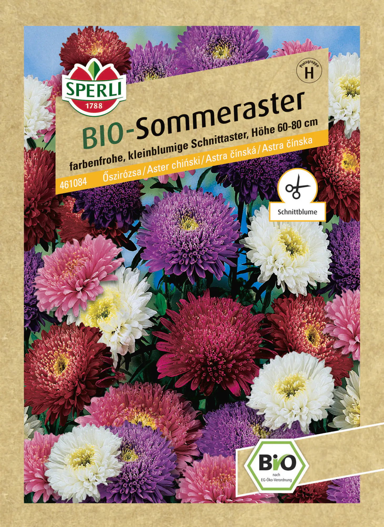 Sperli Saatgut BIO Sommeraster für ca. 35 Pflanzen