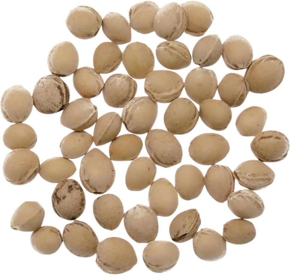 Glorex Kirschkerne 500 g