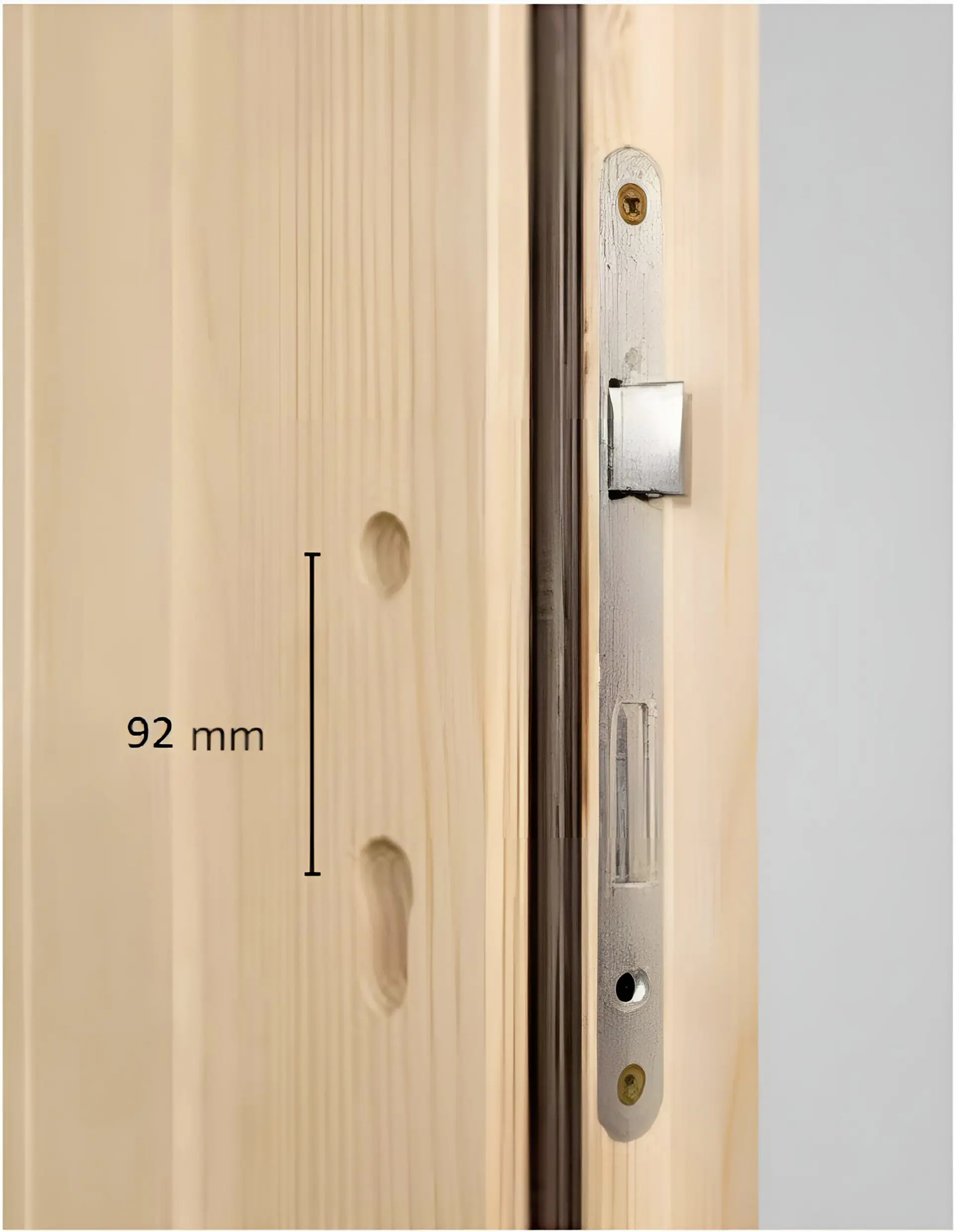 Panto Nebeneingangstür Holz 504 98 x 198 cm DIN links