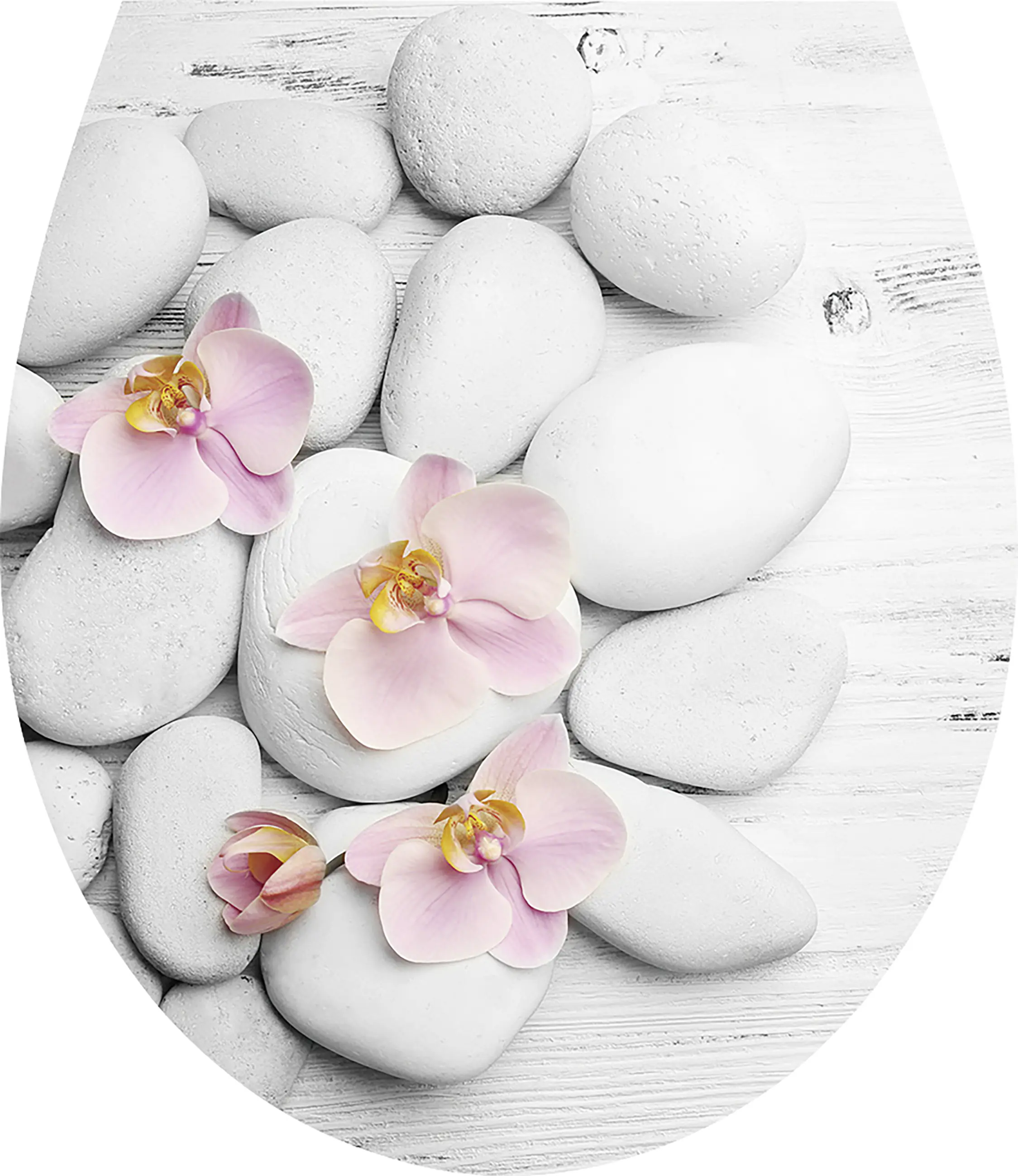 Duschwell Duroplast WC-Sitz Stein & Orchidee