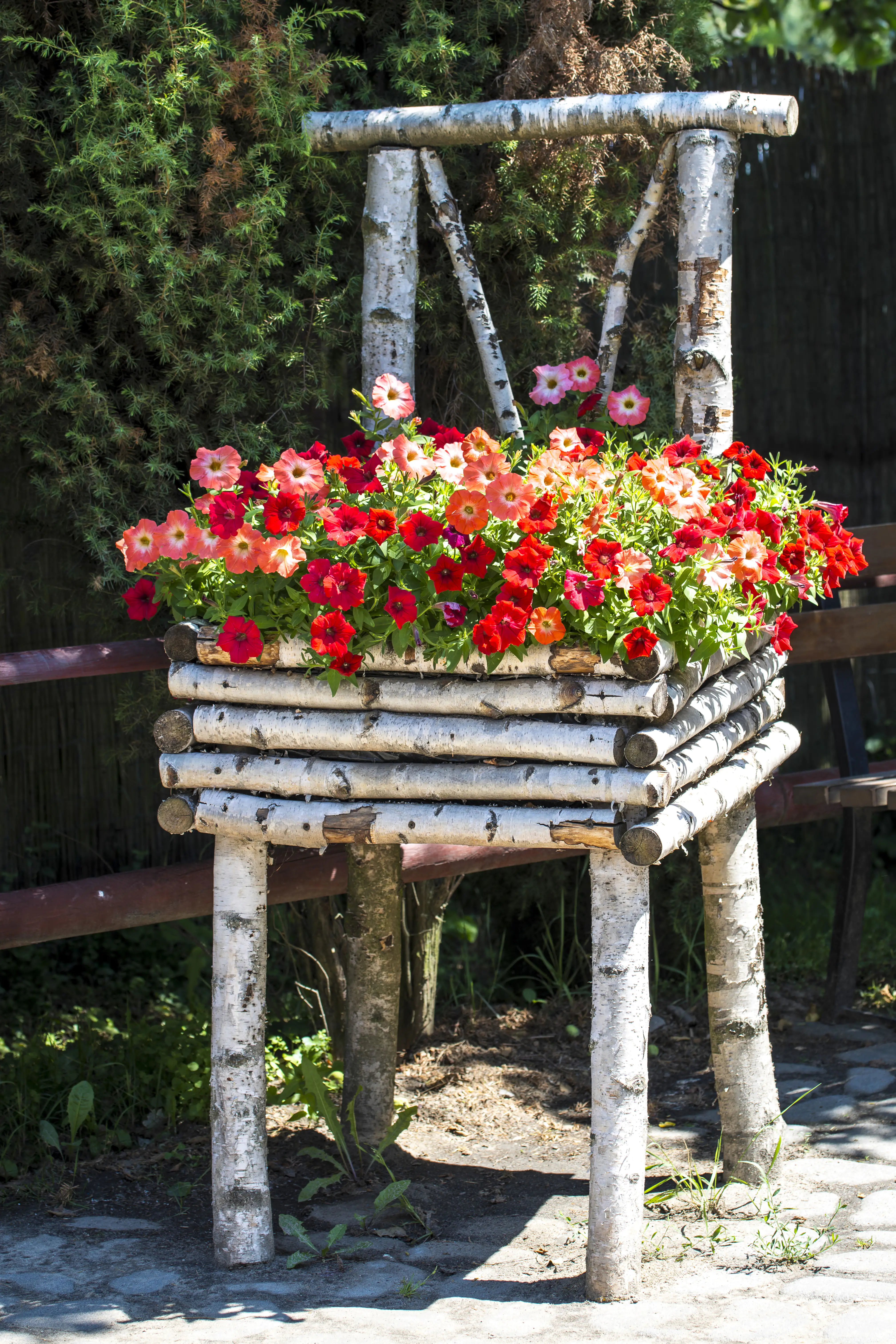 Birkenstamm 180 cm ø 4-6 cm