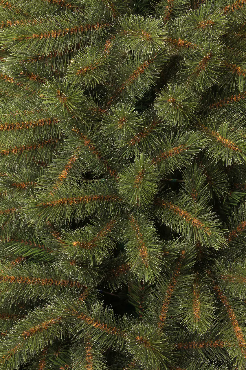 Black Box Trees Weihnachtsbaum Toronto grün 185 cm