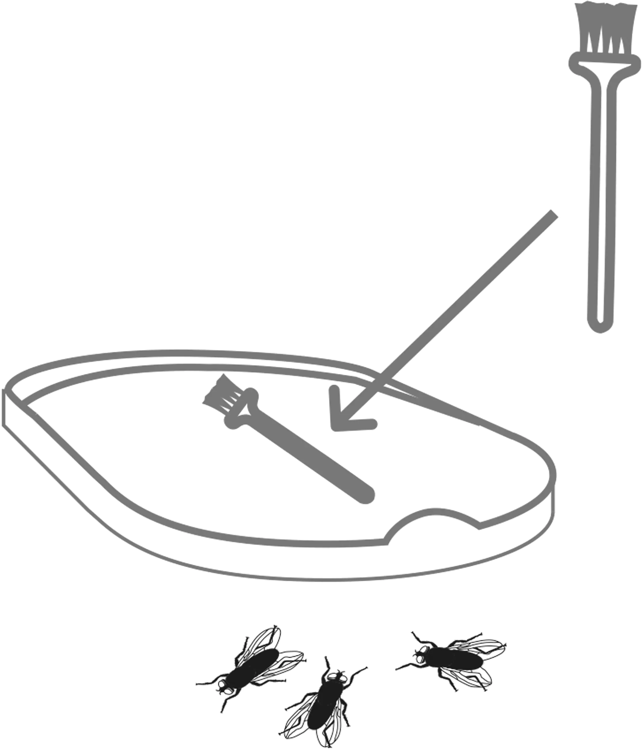 Swissinno Elektrische Insektenfalle LED 10 Watt
