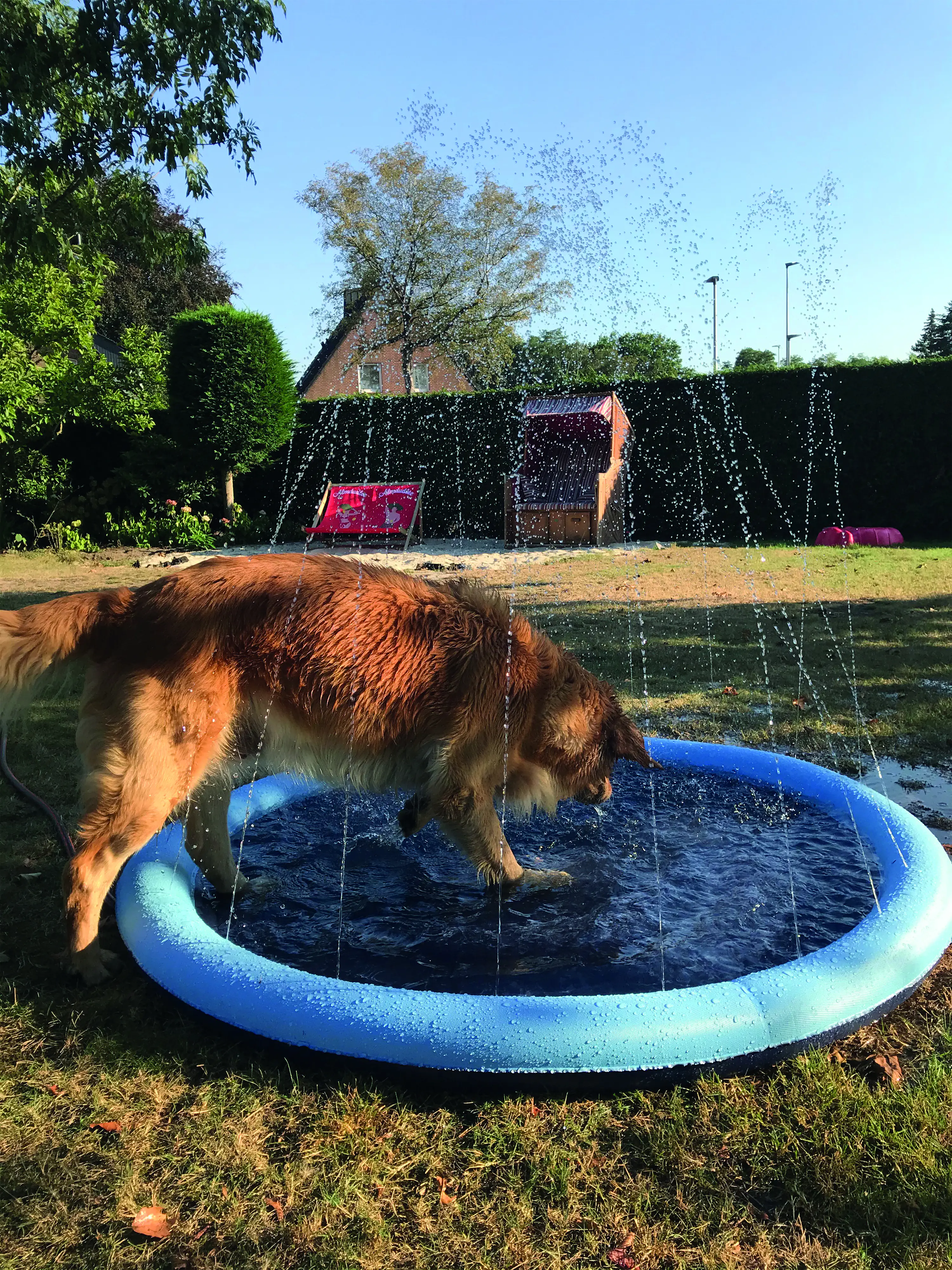 Nobby Hundepool Splash Pool