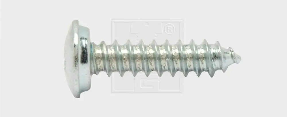 SWG Nummernschildschraube 4.8 x 19 mm mit Abdeckkappe